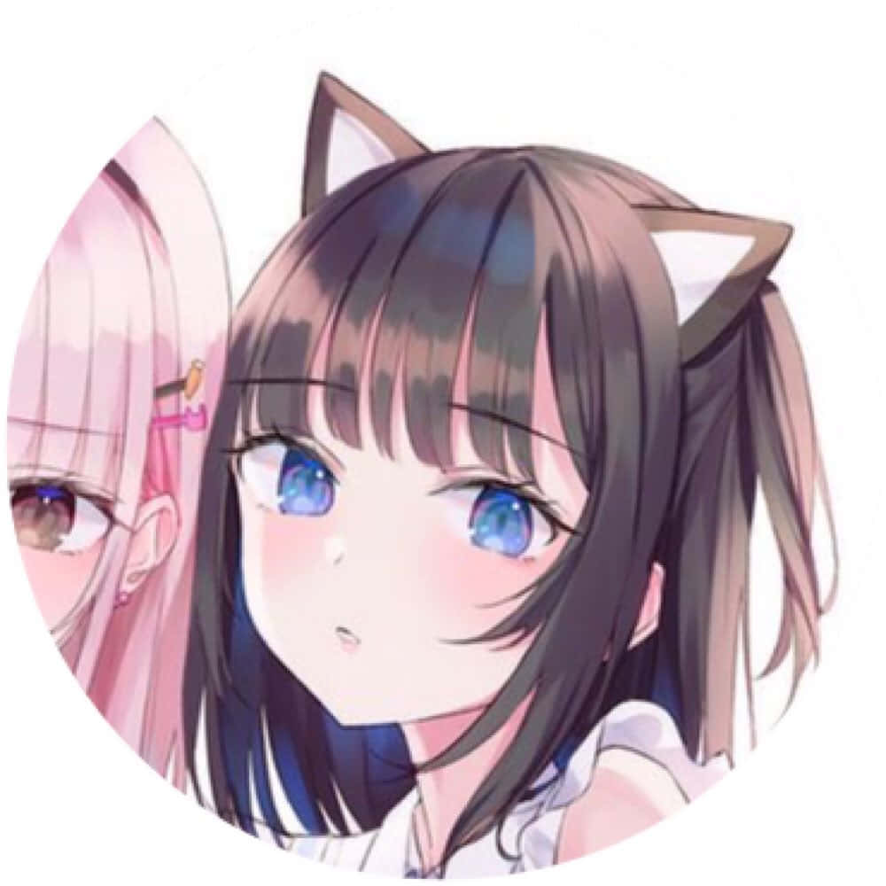 Anime Girls Pfp Cat Ears Background