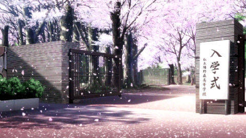 Anime Hd Scenery Of Cherry Blossoms Background