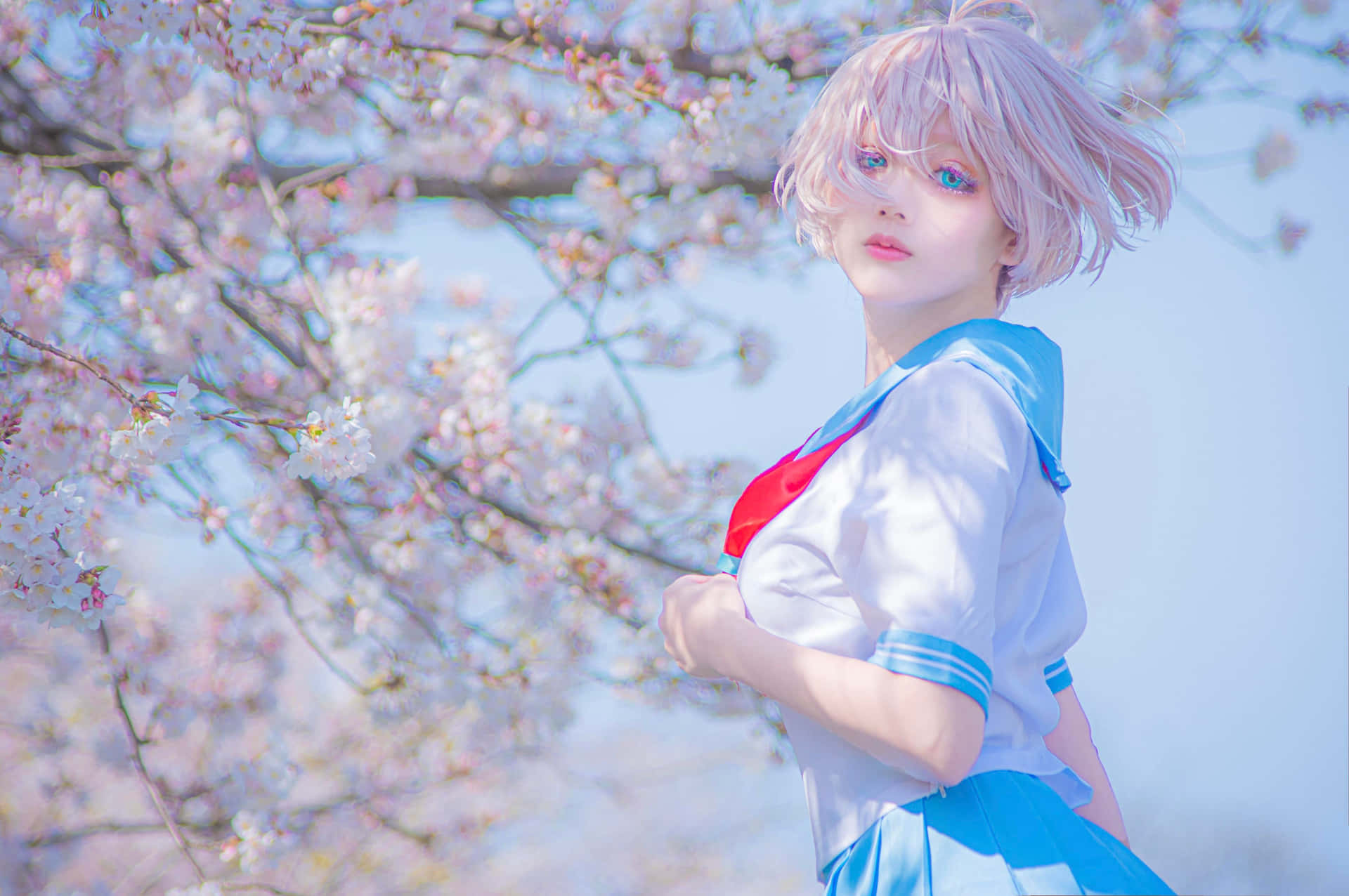 Anime Inspired Cosplay Among Cherry Blossoms Background