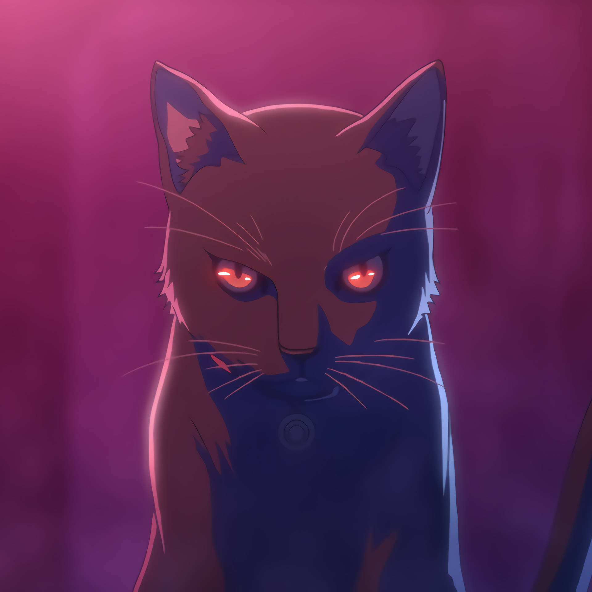 Anime Ipad Black Cat Akudama Drive