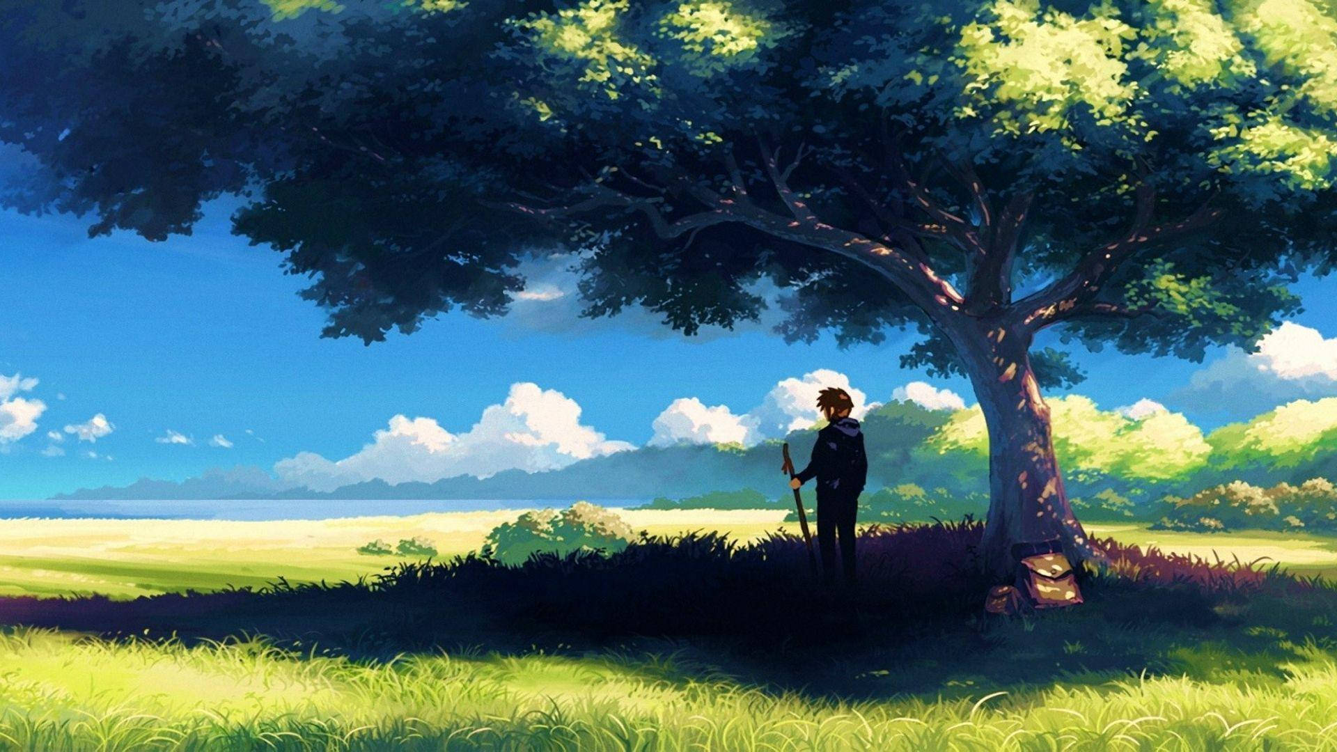 Anime Landscape Man Under A Tree Background
