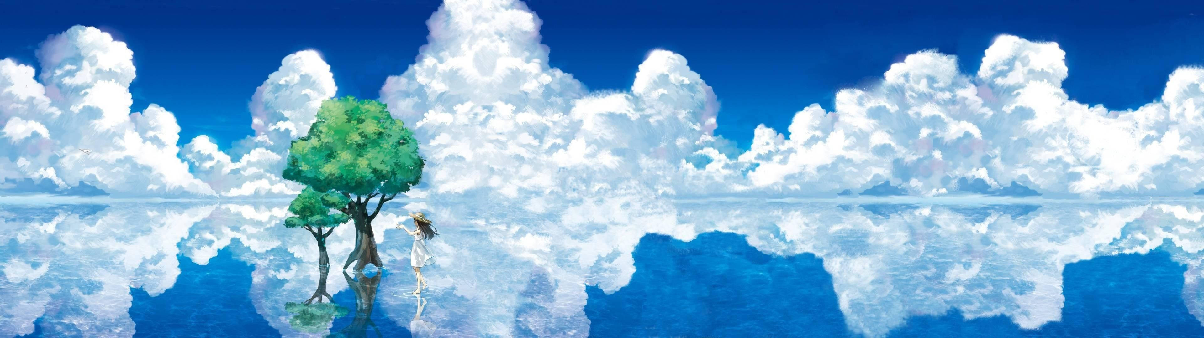 Anime Landscape Sky Dual Screen Background