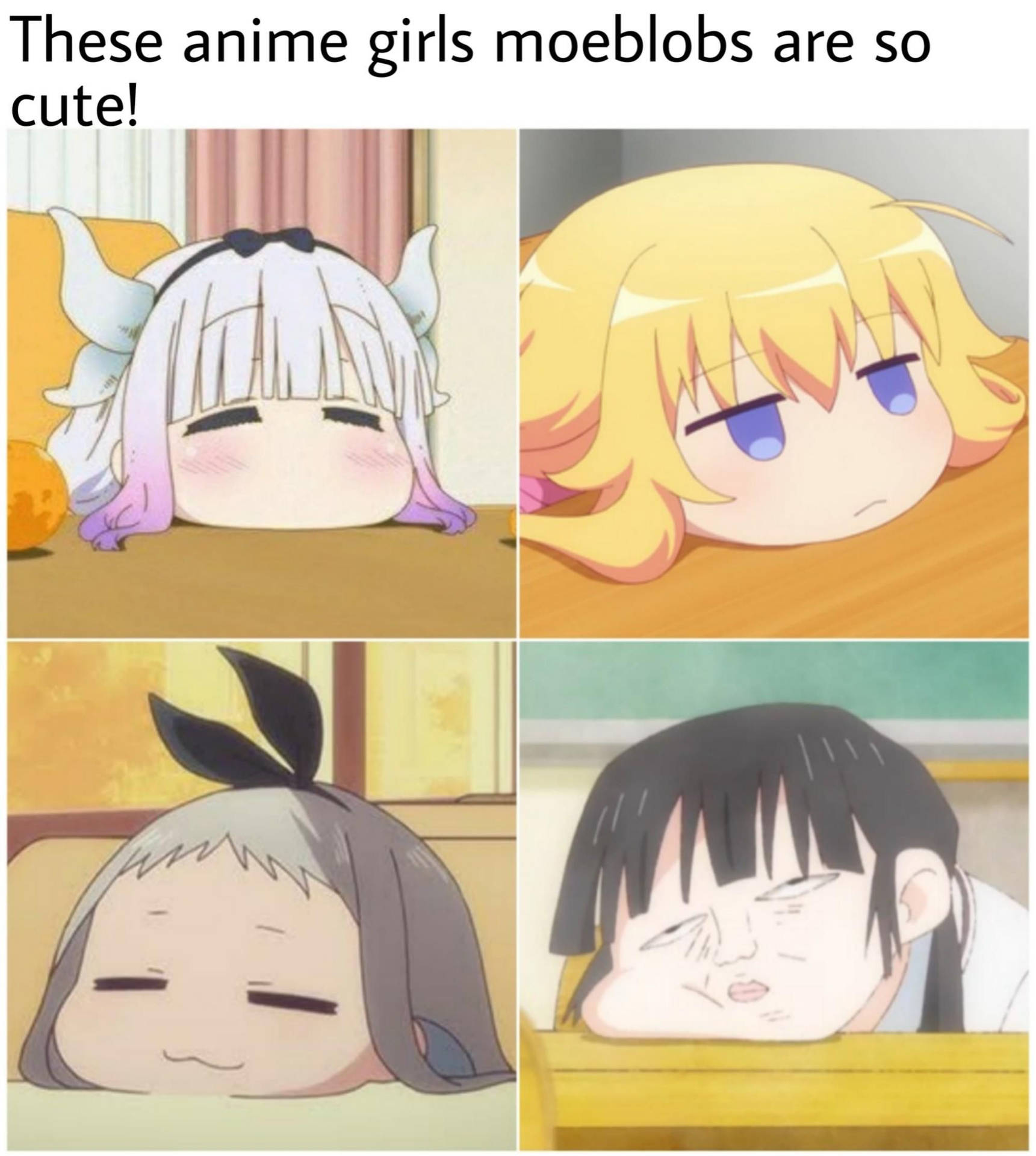 Anime Meme Cute Girls