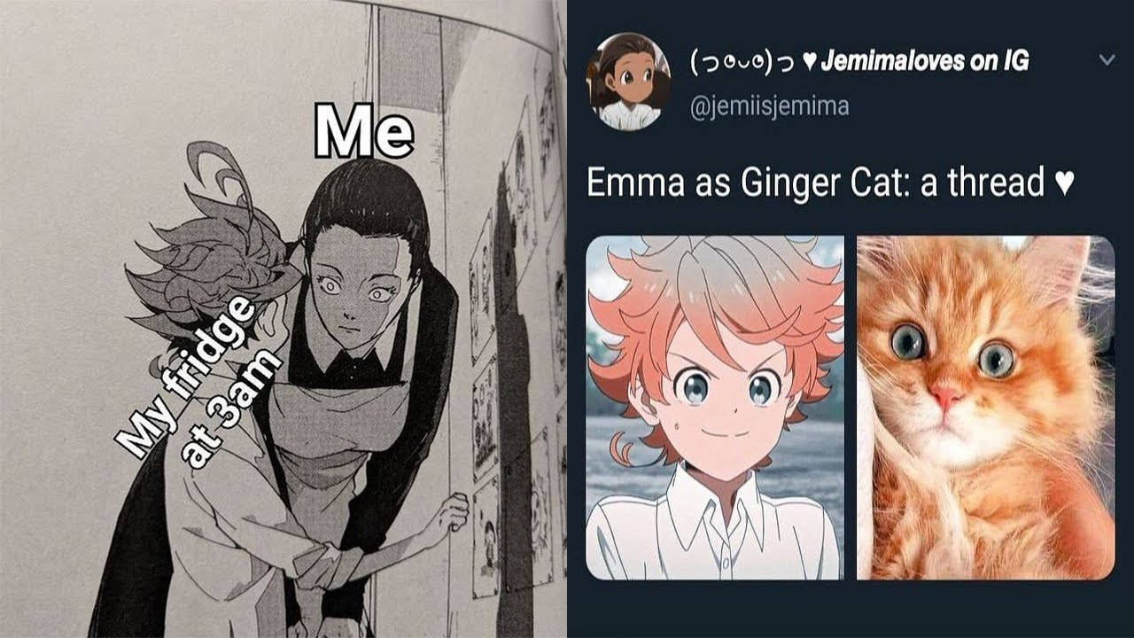 Anime Meme Emma Background