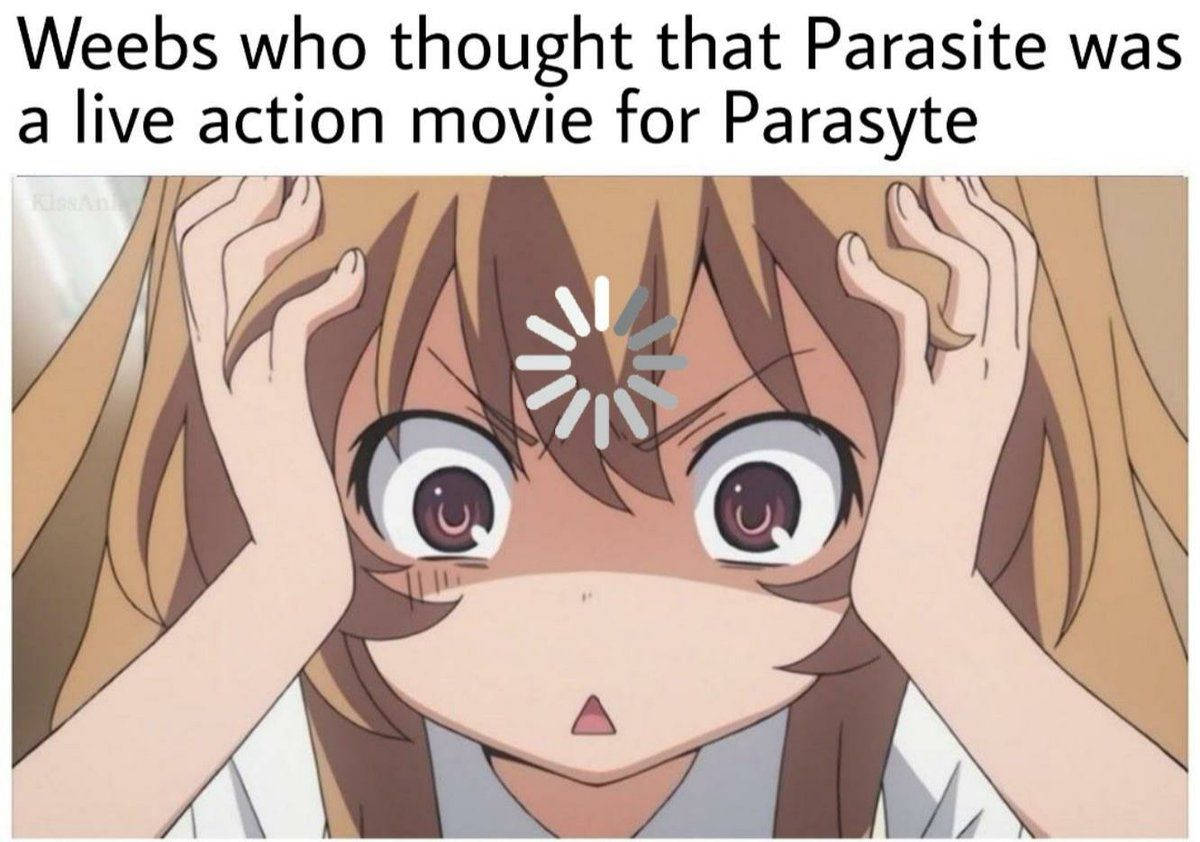 Anime Meme Parasite