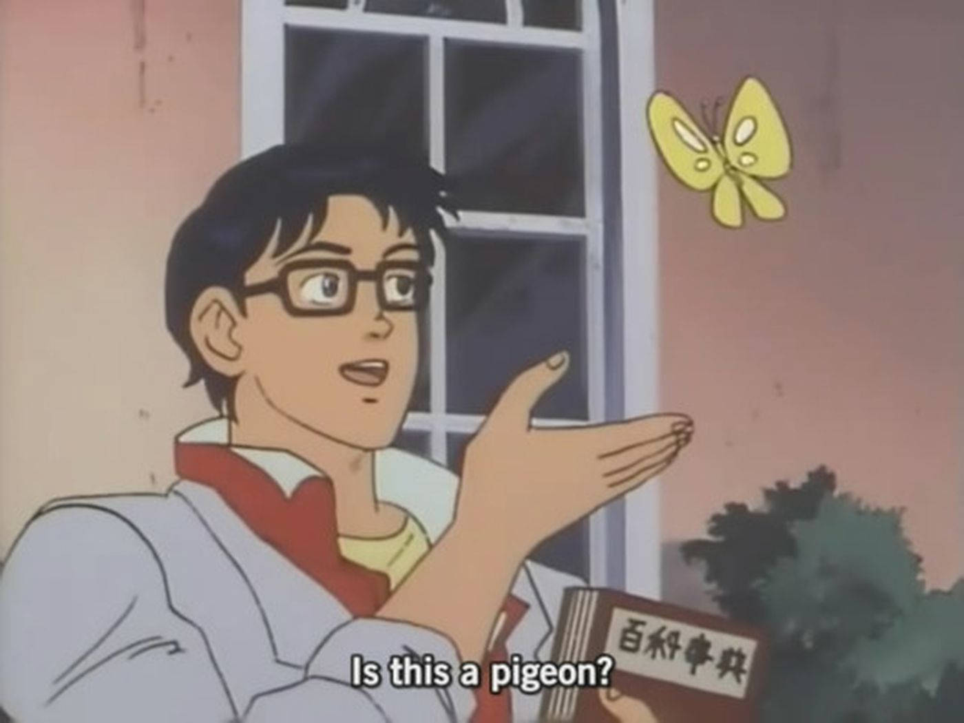 Anime Meme Pfp Butterfly Pigeon Guy