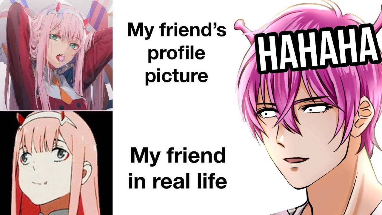 Anime Meme Profile Picture