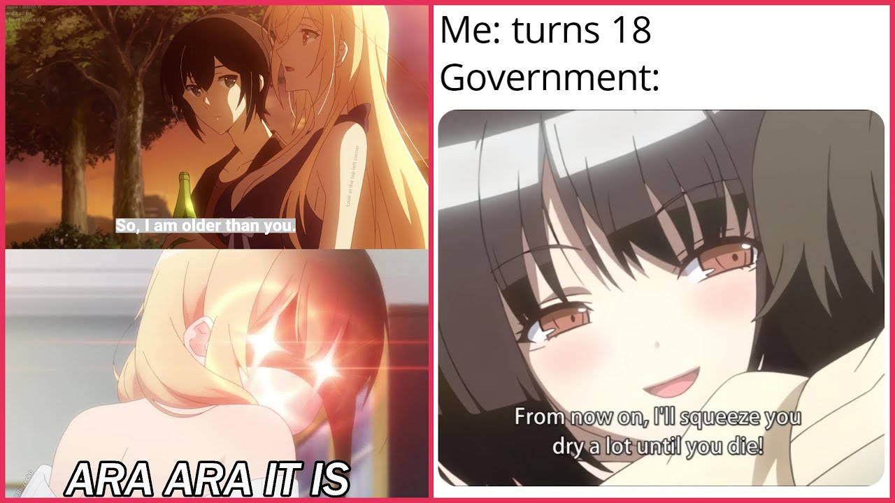 Anime Meme Turning 18