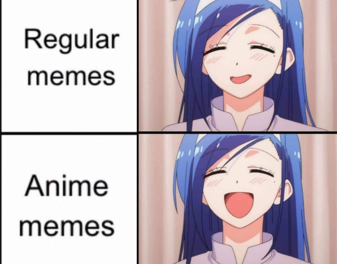 Anime Meme Vs. Regular Meme Background