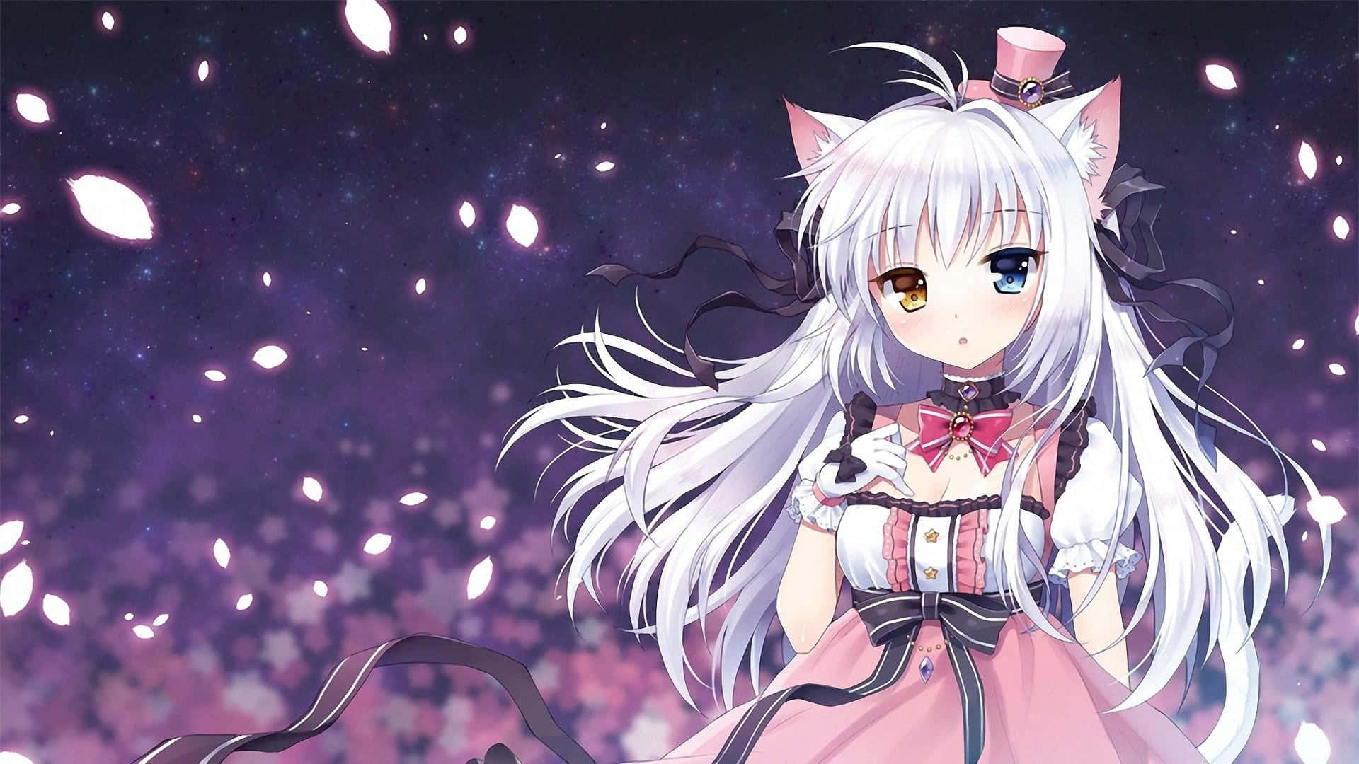 Anime Neko Girl Starry Background Background