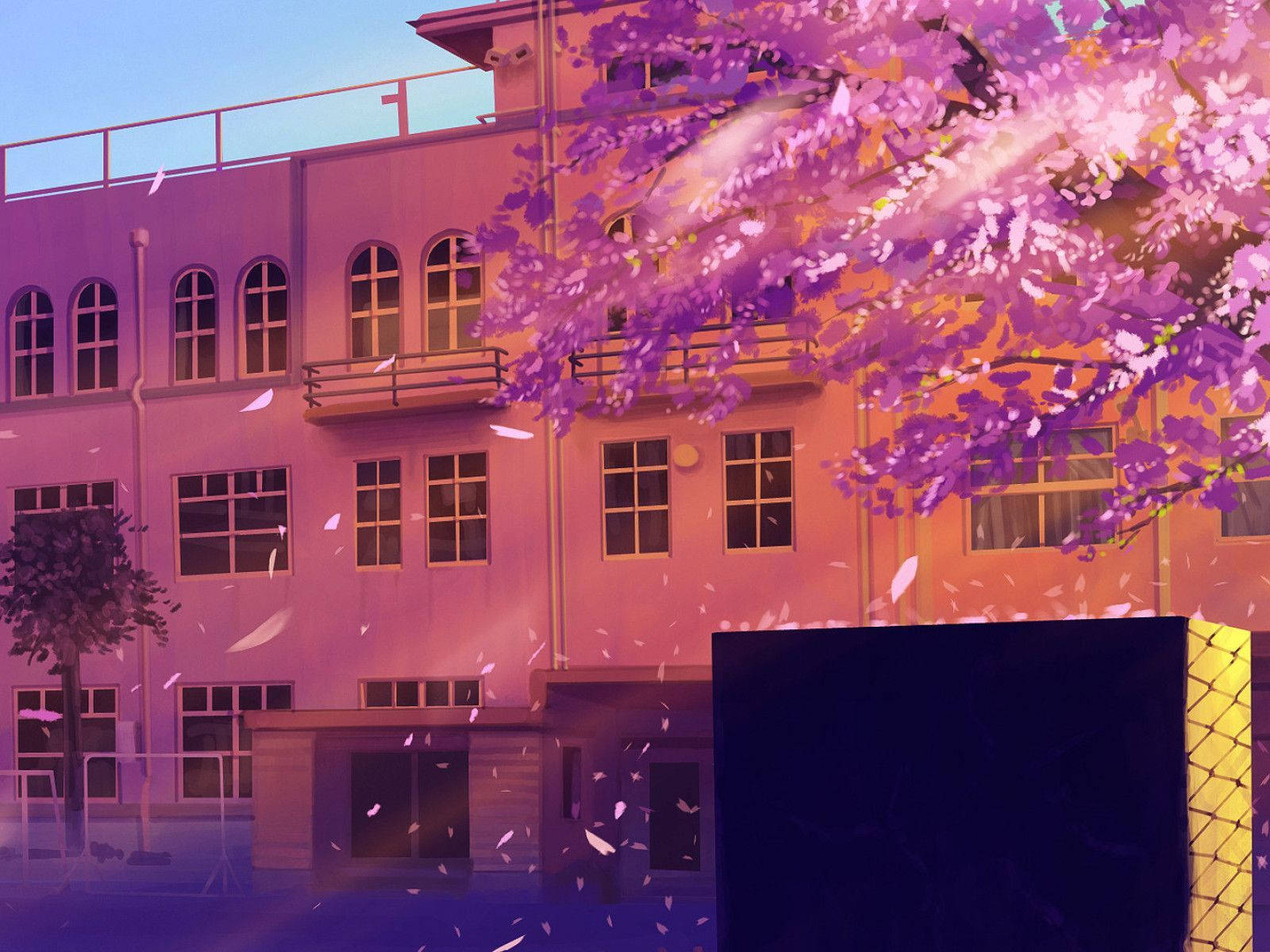 Anime School Scenery Cherry Blossom Tree