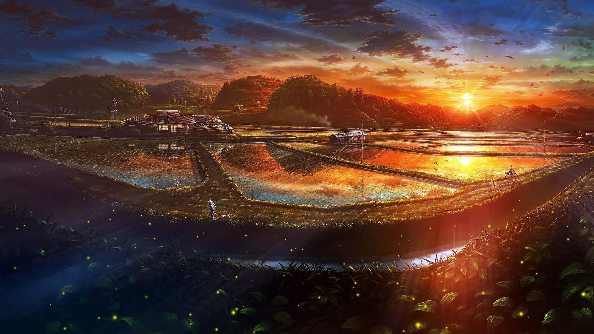Anime Sunset Sky In Farmland Landscape Background