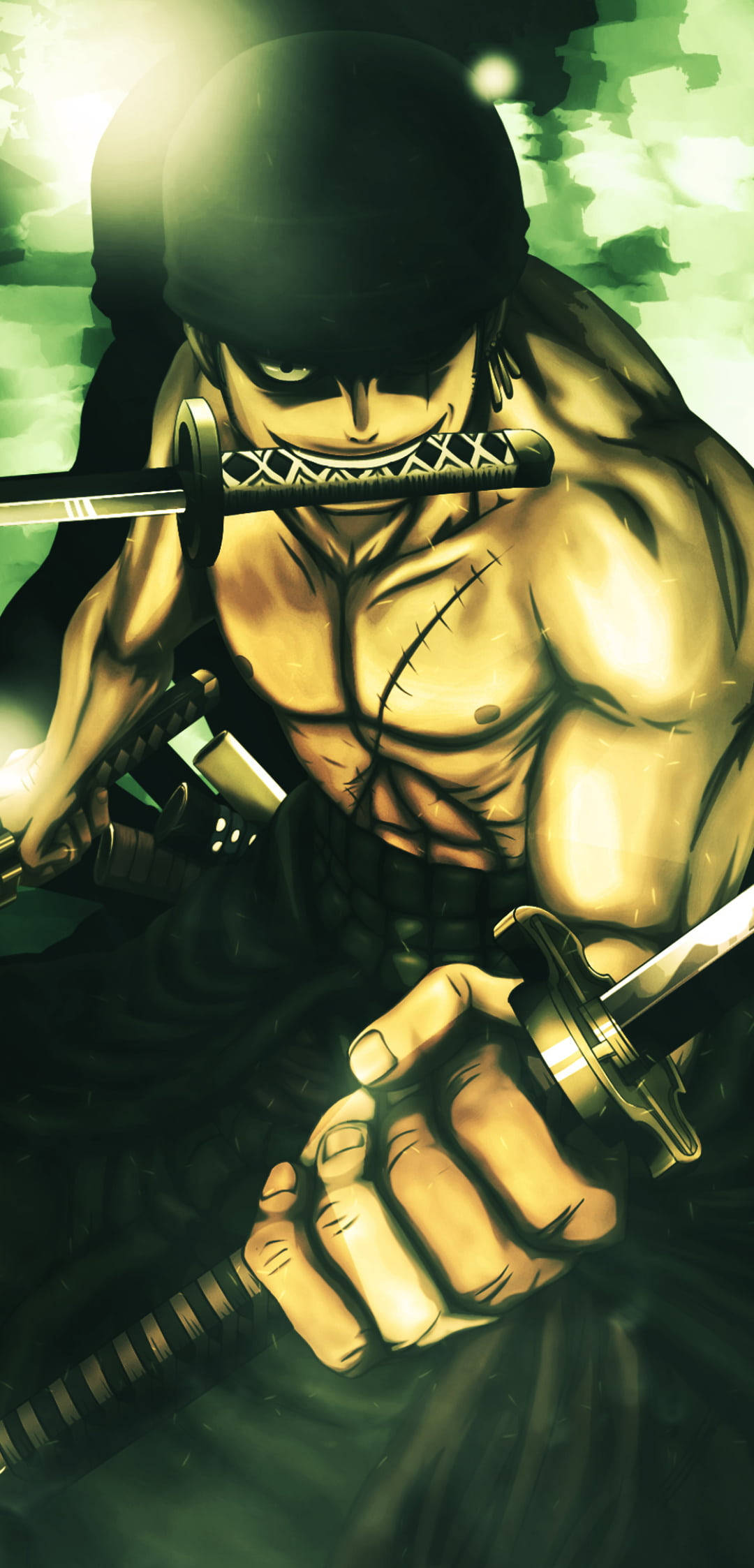 Anime Swordsman Roronoa Zoro Pfp Background