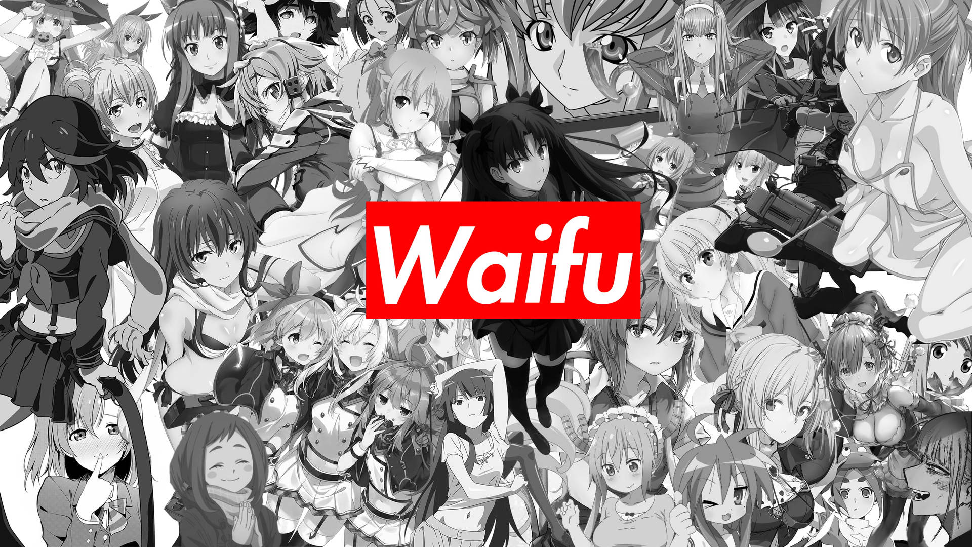 Anime Waifu Collage Supreme Spoof
