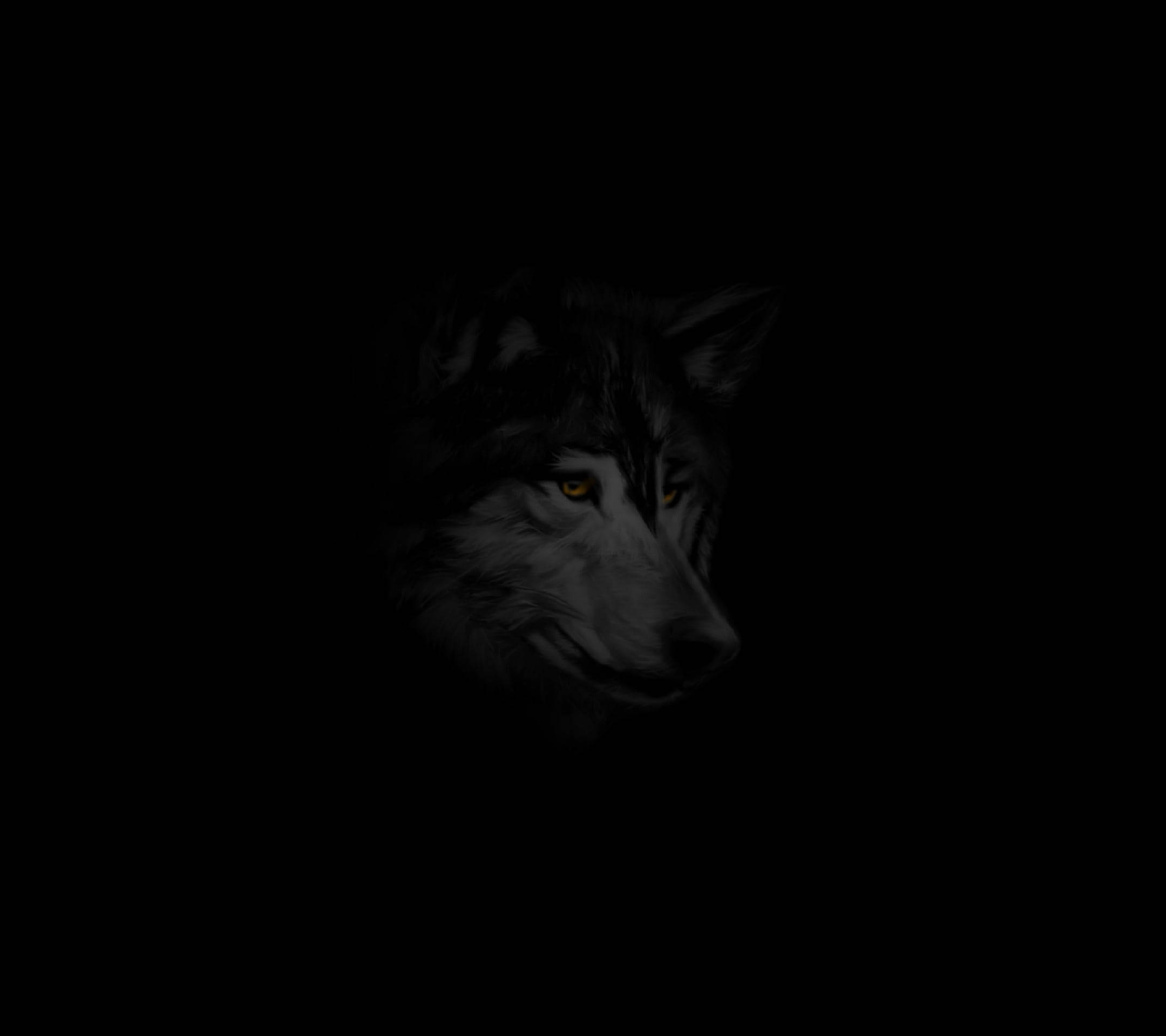 Anime Wolf Black And White In Dark Background