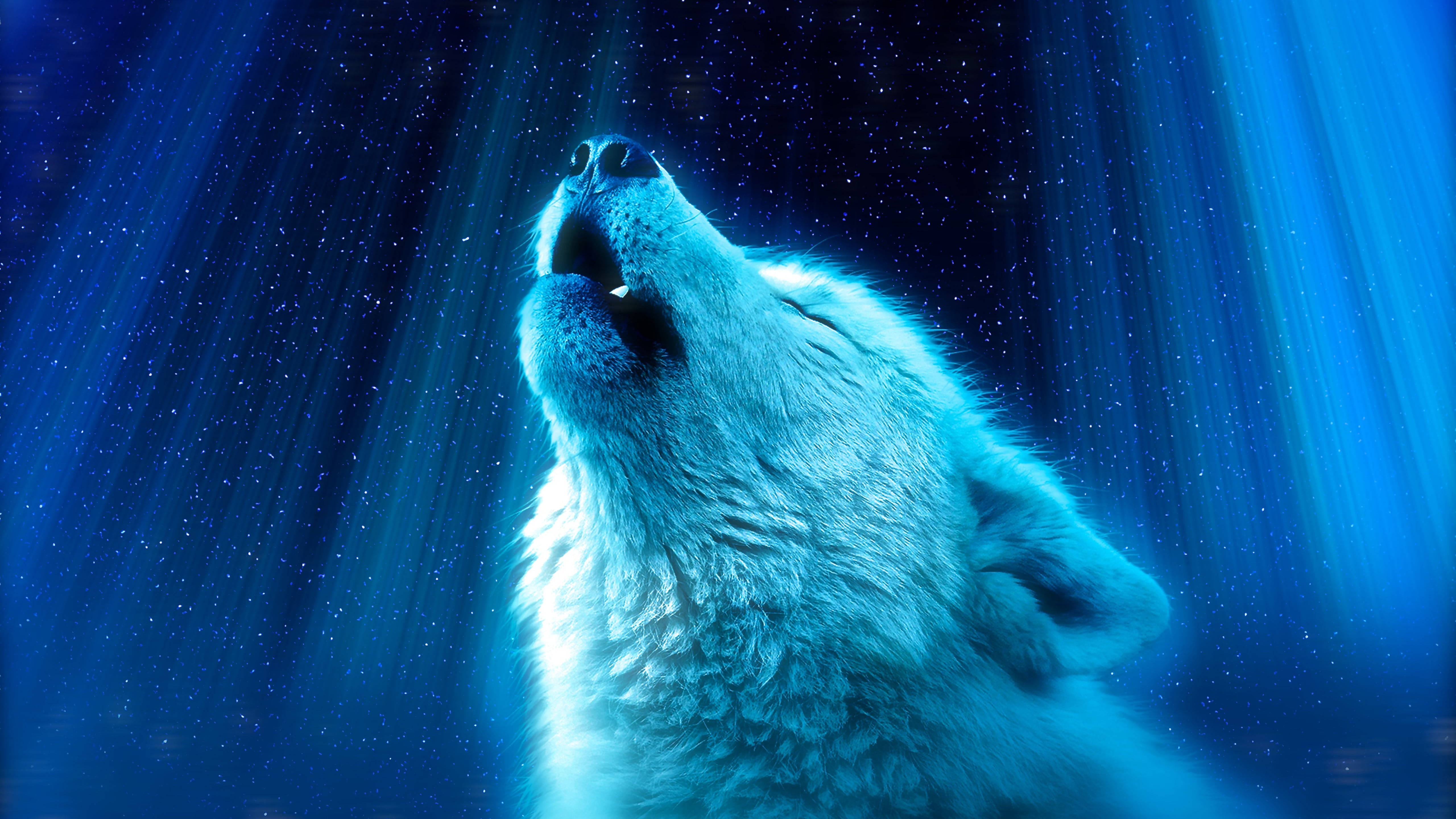 Anime Wolf Howling Blue Aesthetic Lights Background