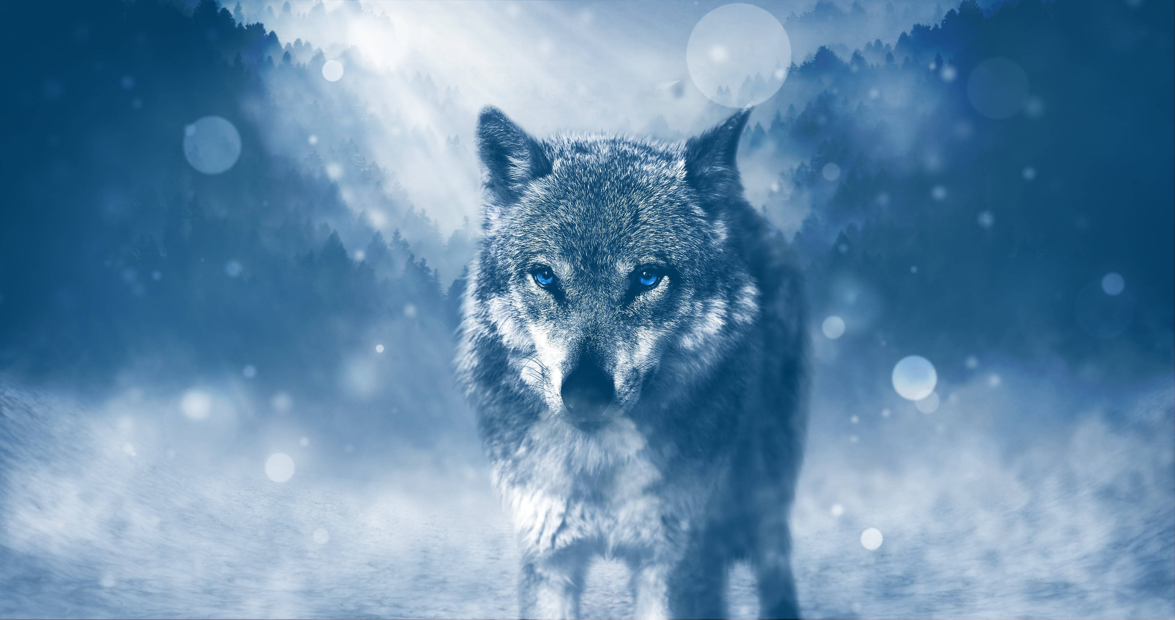 Anime Wolf In Snow Background