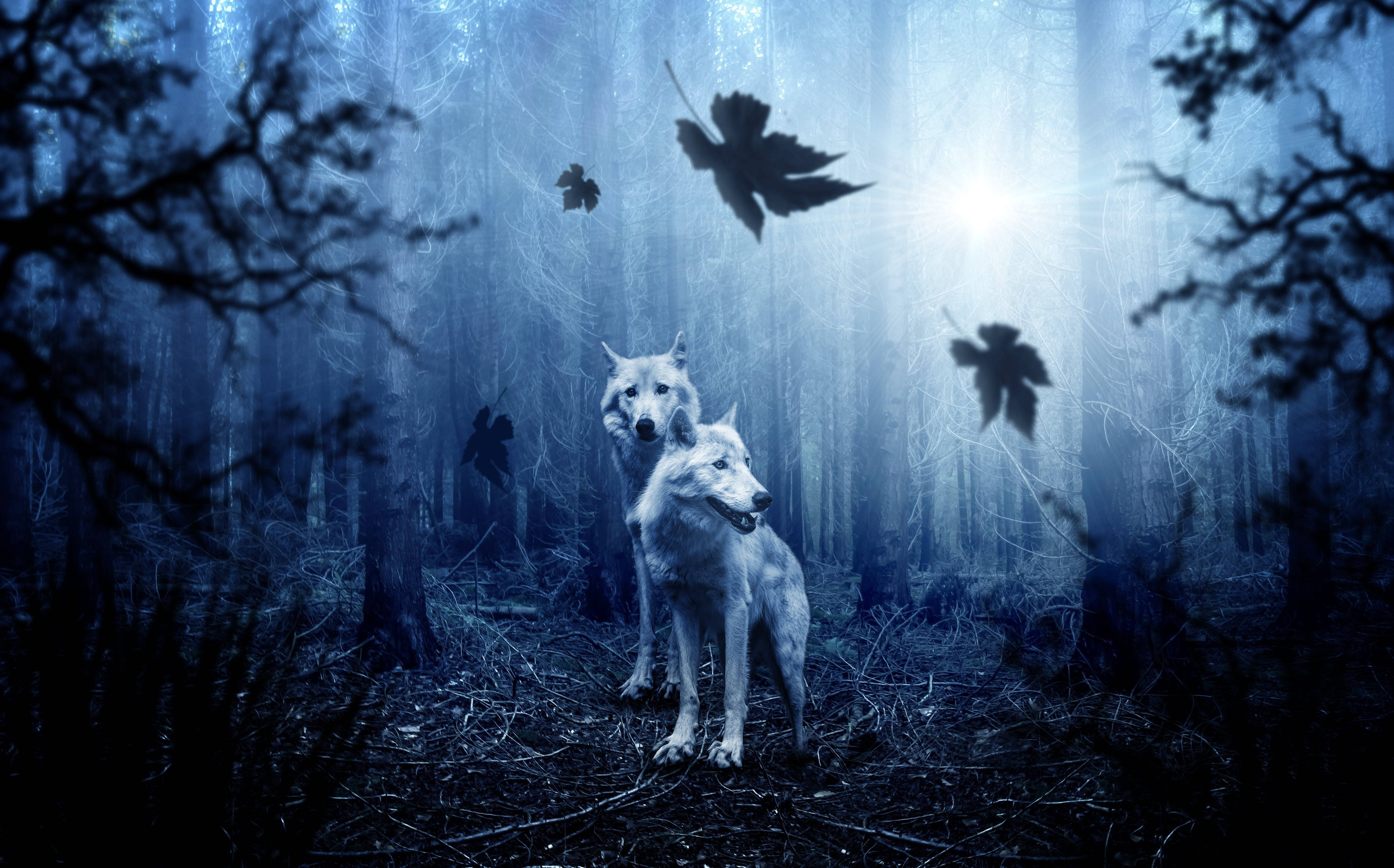 Anime Wolf In Spooky Forest Background