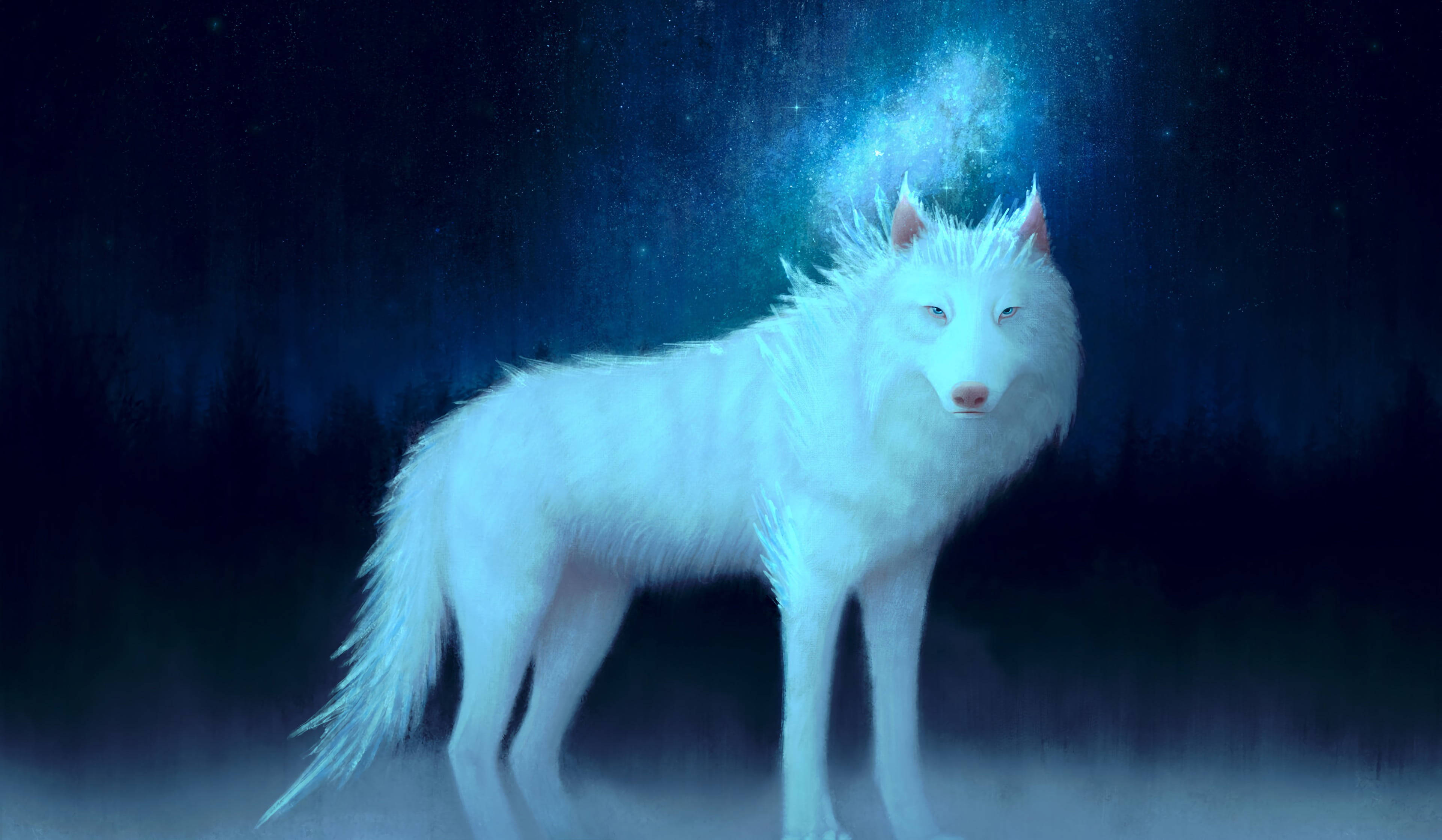 Anime Wolf Painting Glowing Stars Background