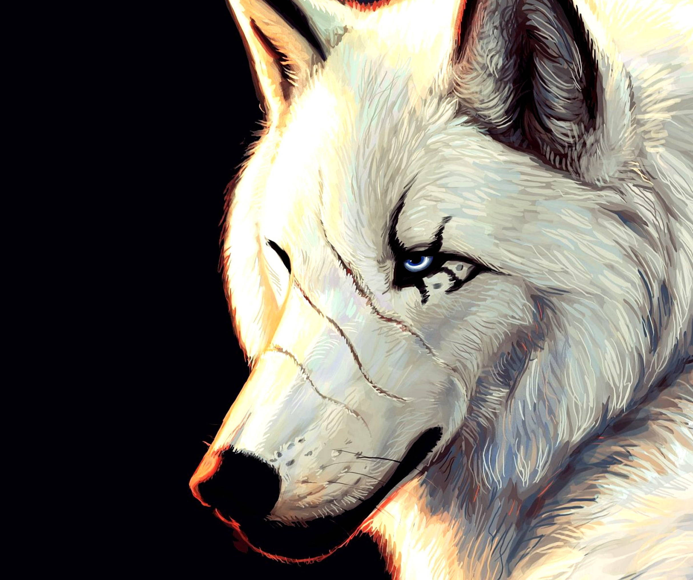 Anime Wolf White Aesthetic With Scars