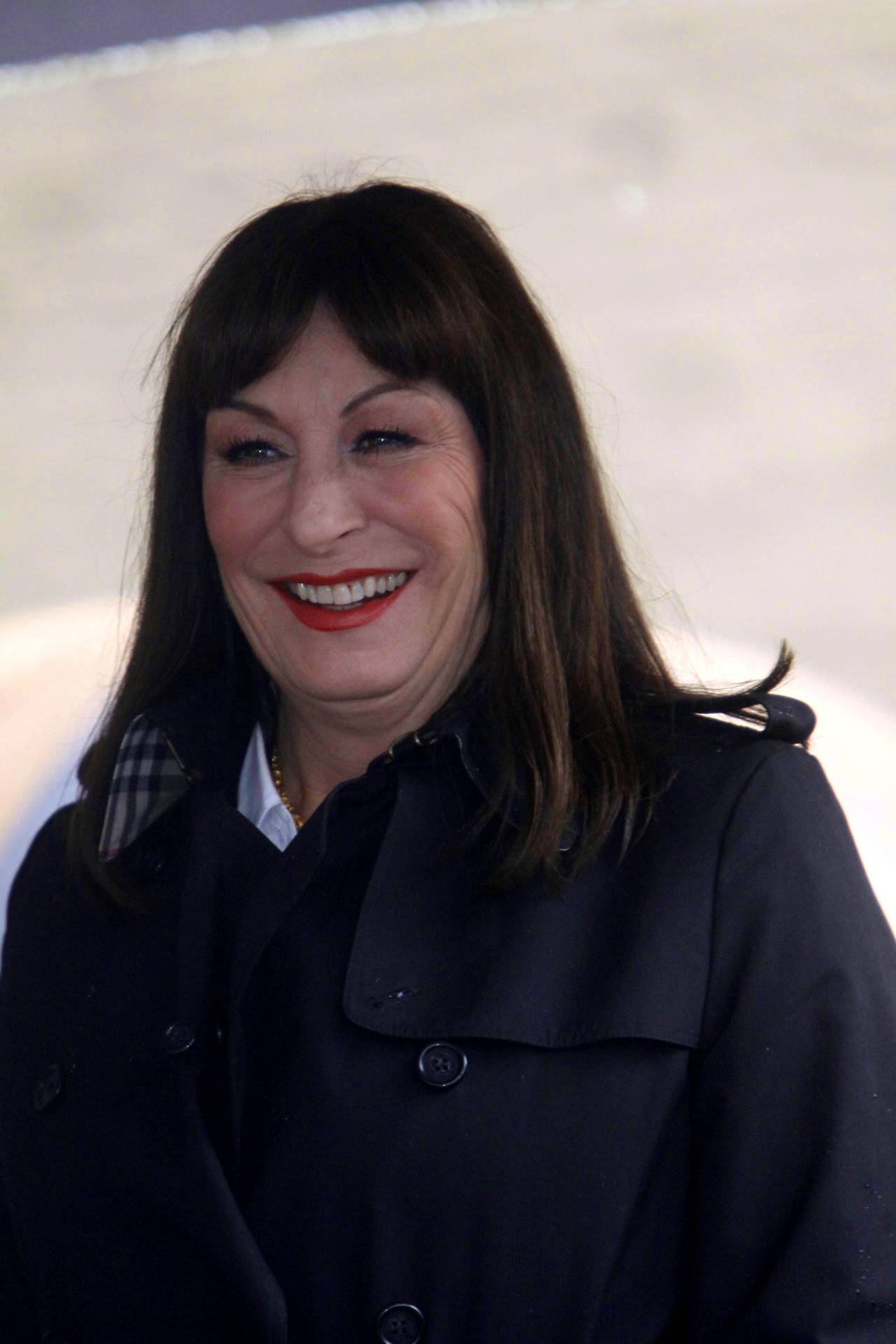 Anjelica Huston American Veteran Actress Background