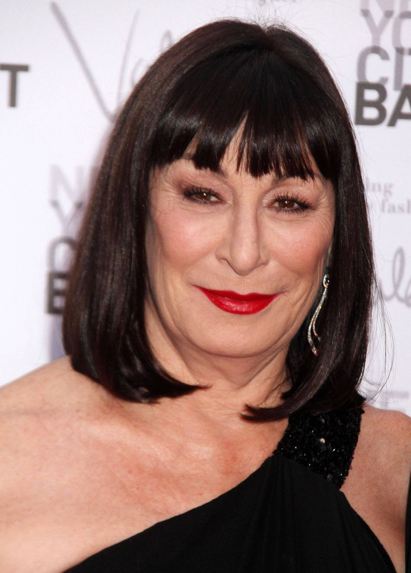 Anjelica Huston Tv And Film Actress Background