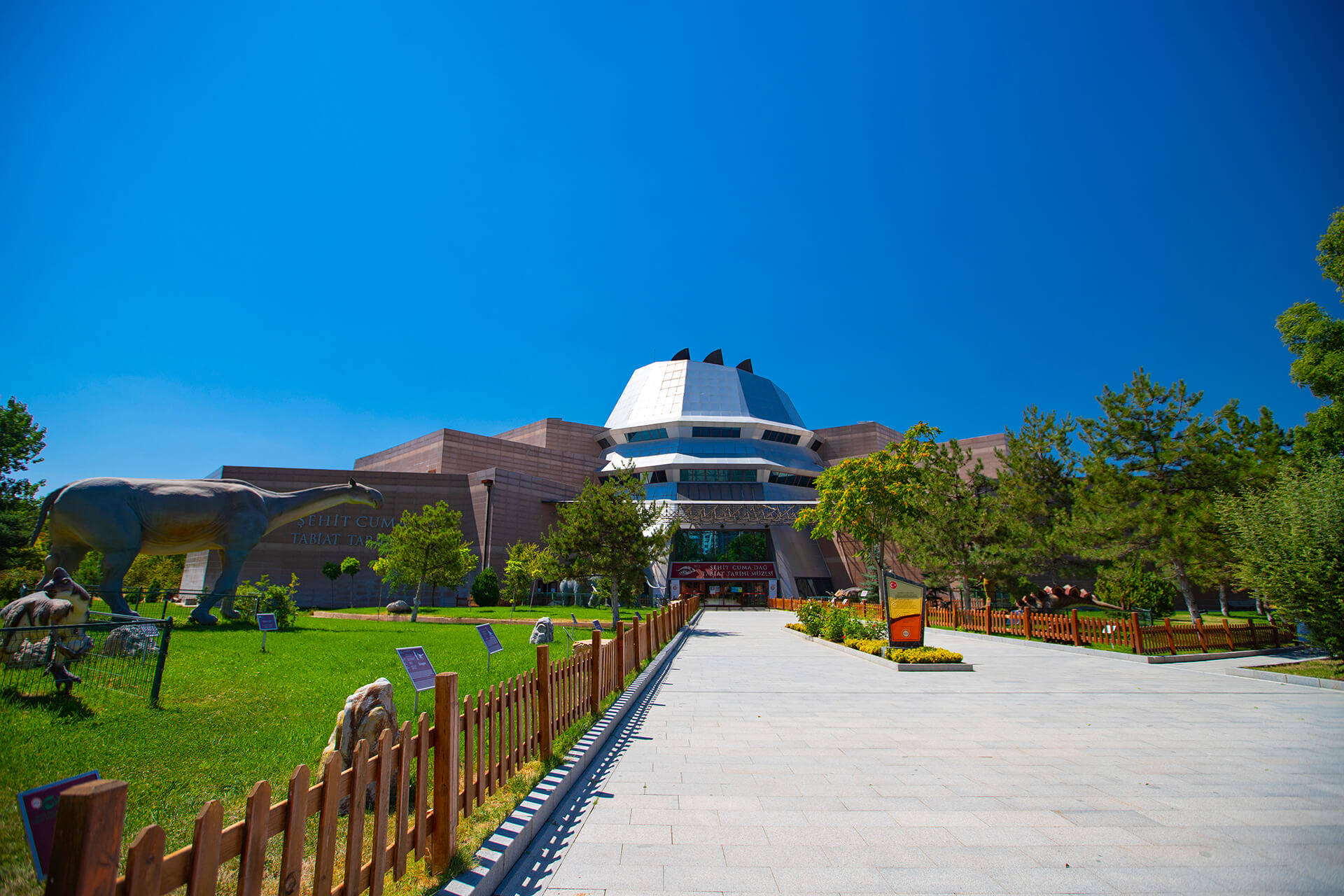 Ankara Natural History Museum Background