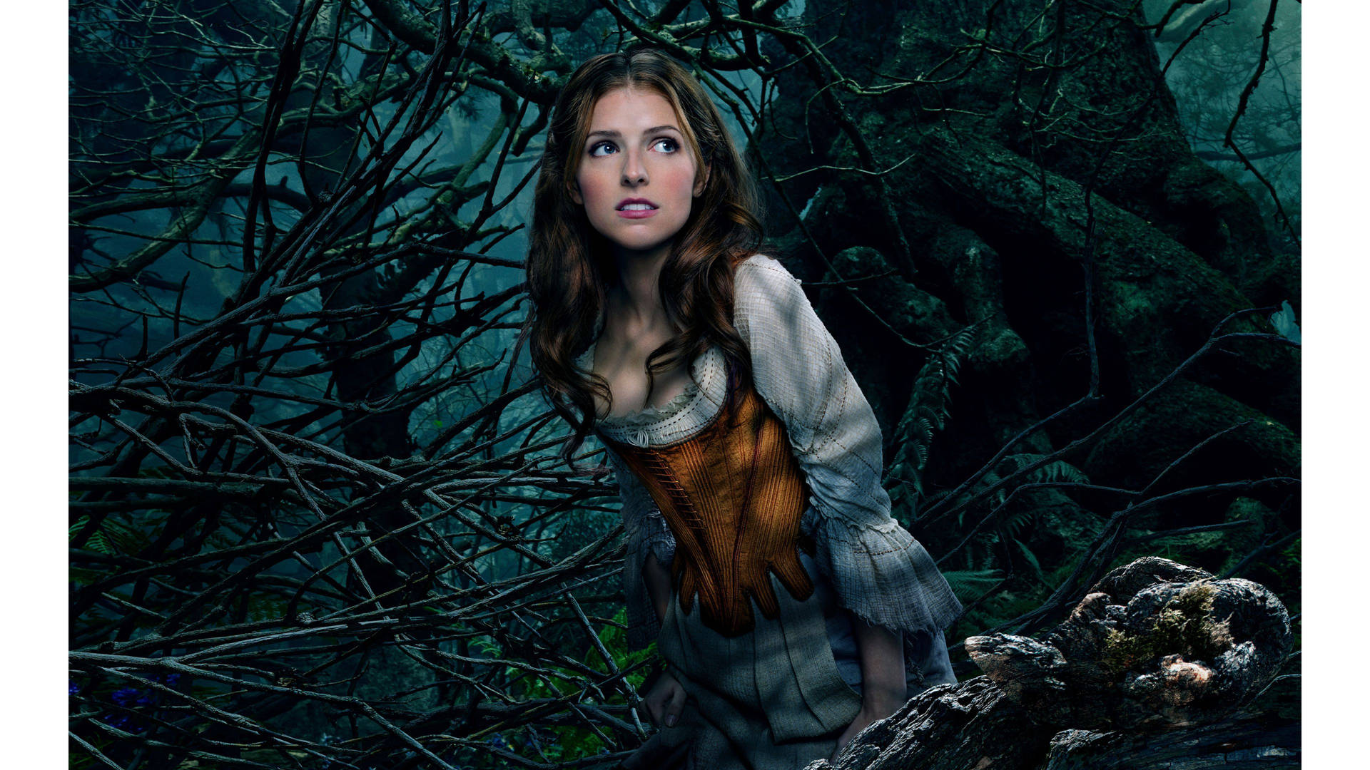 Anna Kendrick Cinderella In To The Woods Background
