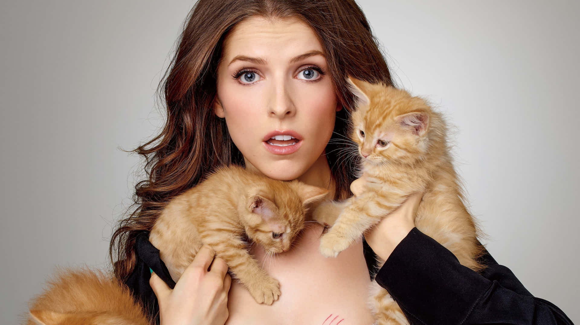 Anna Kendrick Holding Cute Kittens Background