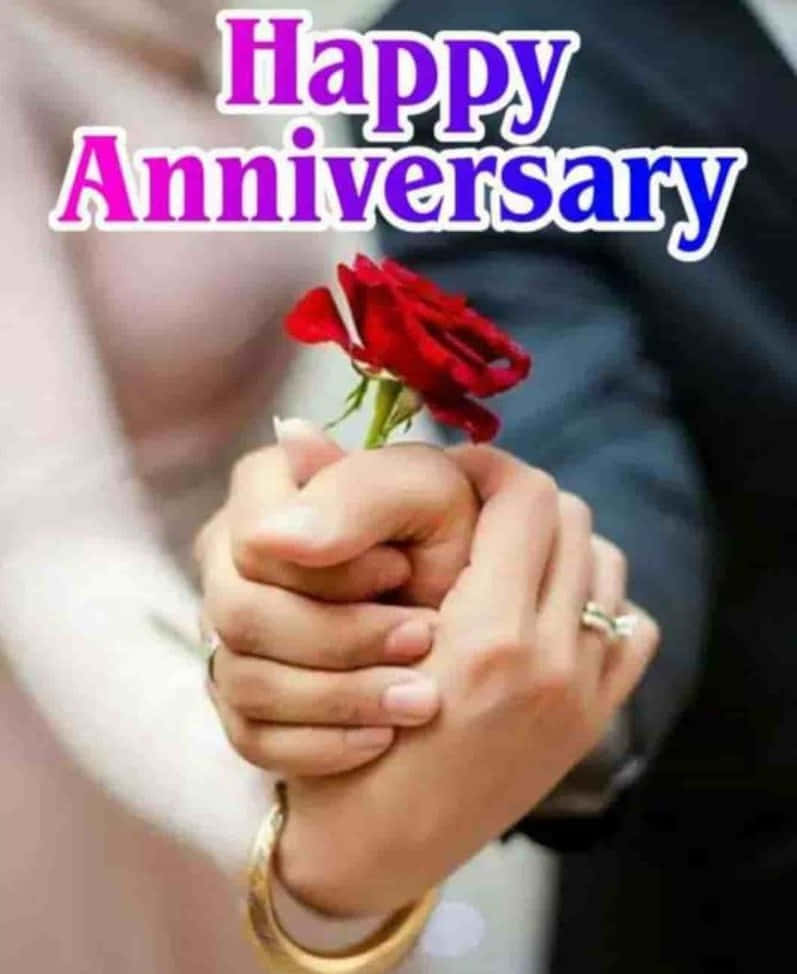 Anniversary Couple Holding A Rose Background