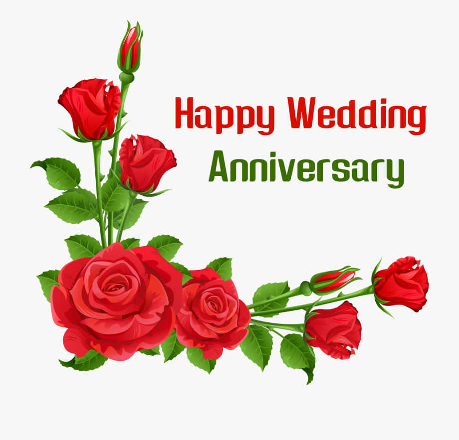 Anniversary Designed With Red Roses Background