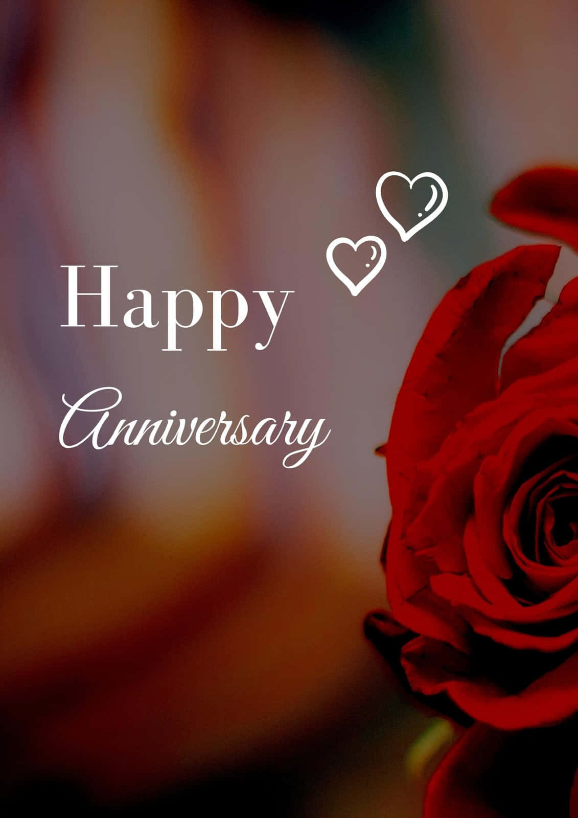 Anniversary With Elegant Red Rose
