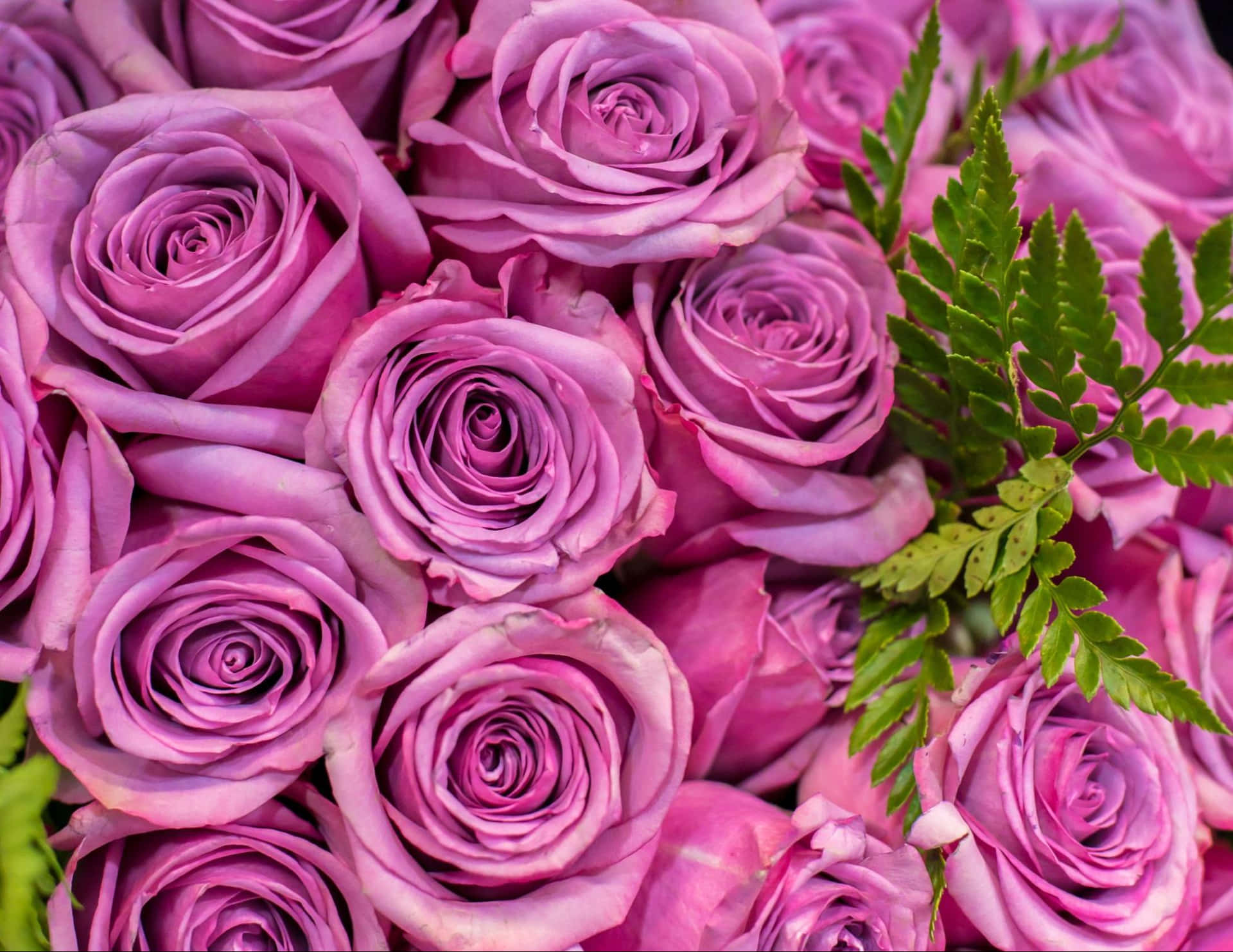 Annual Flower Bouqet Background
