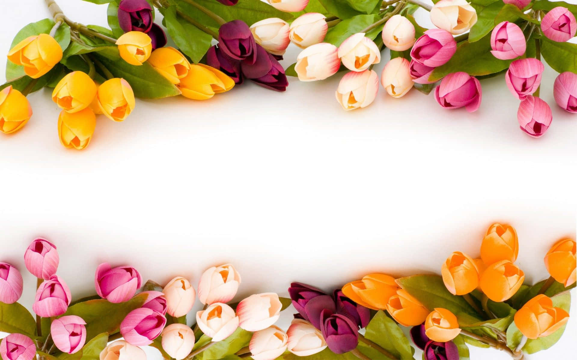 Annual Flower Celebration Background
