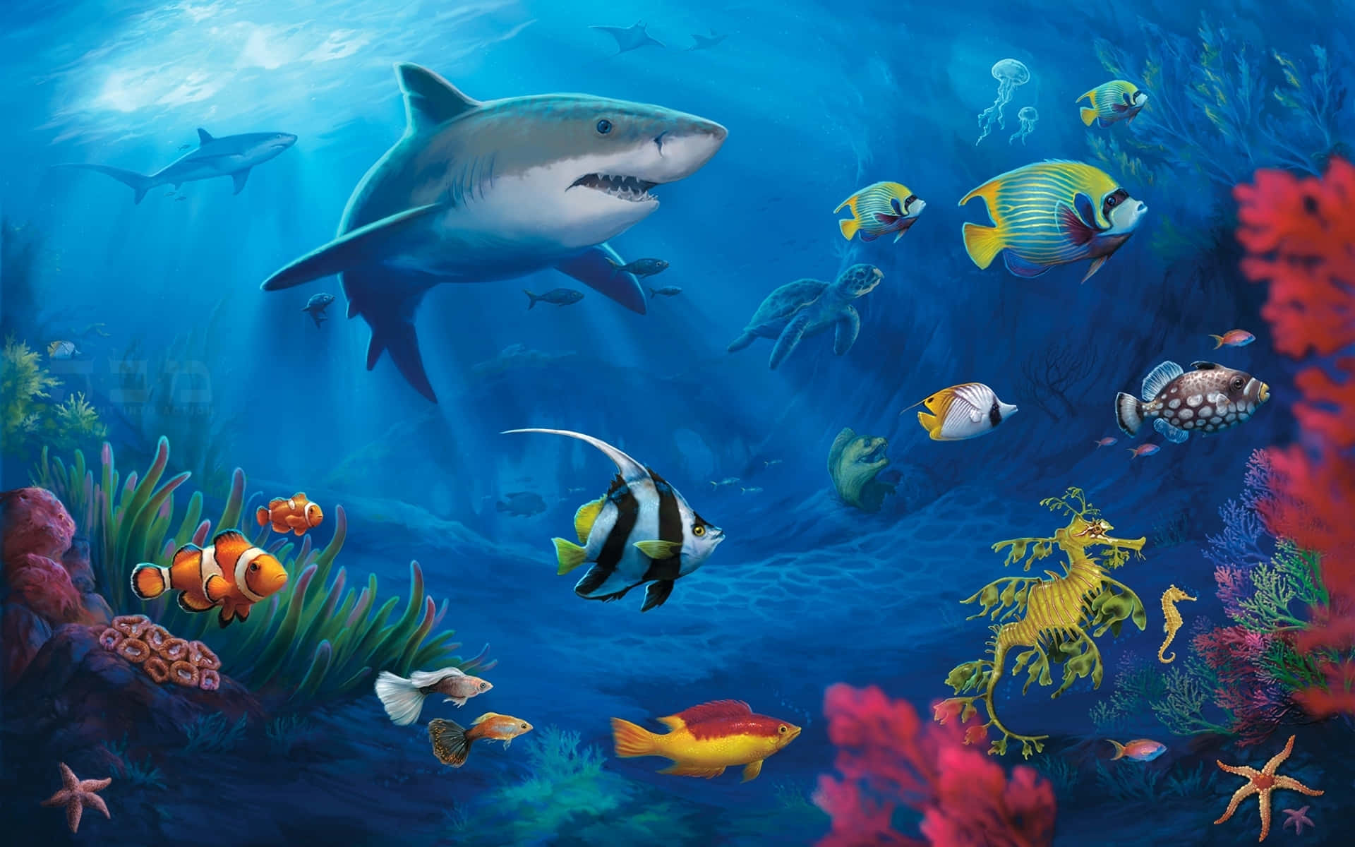 Annual Nemo Edition Background
