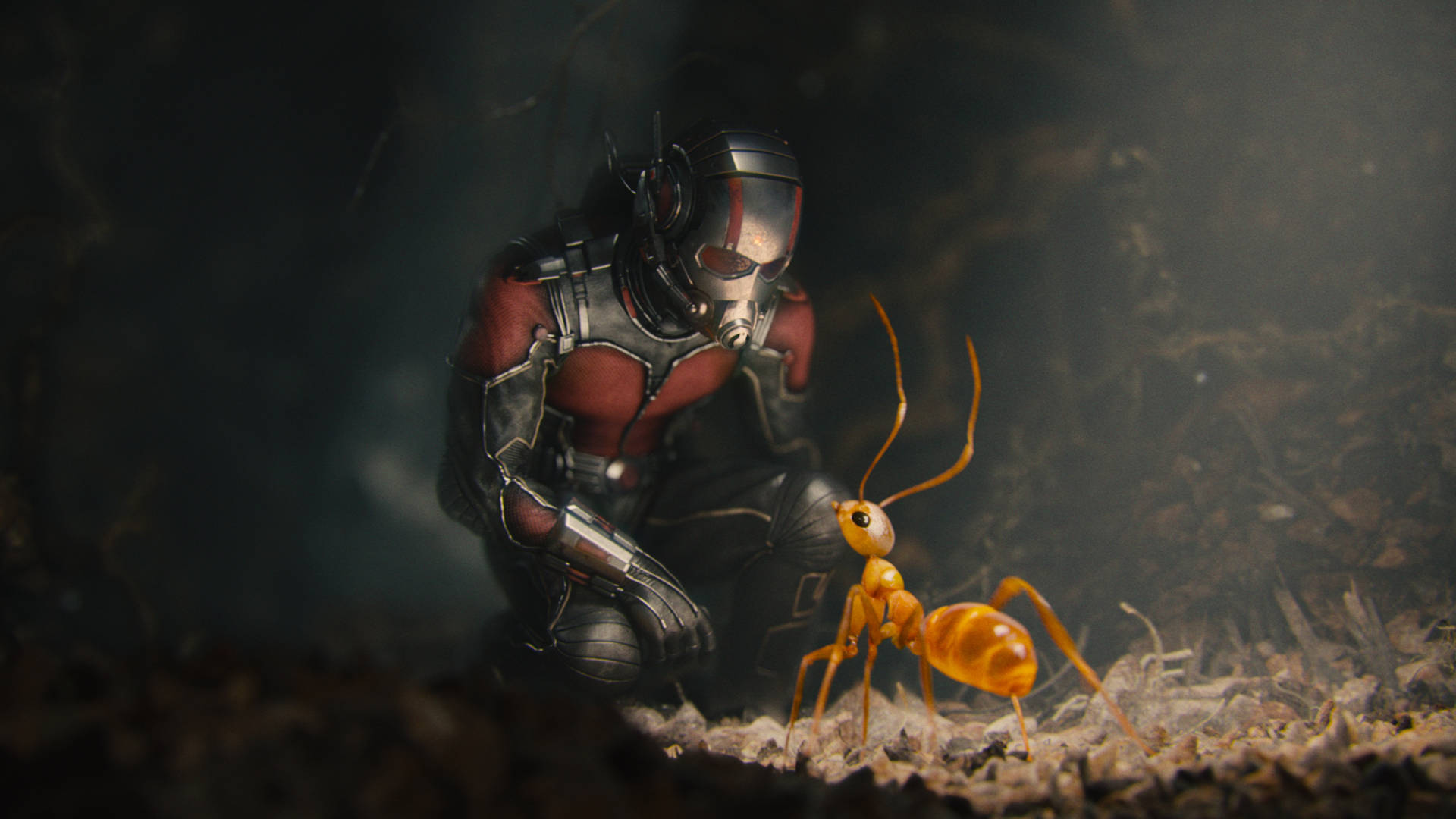 Ant Man Superhero And Baby Ant Background