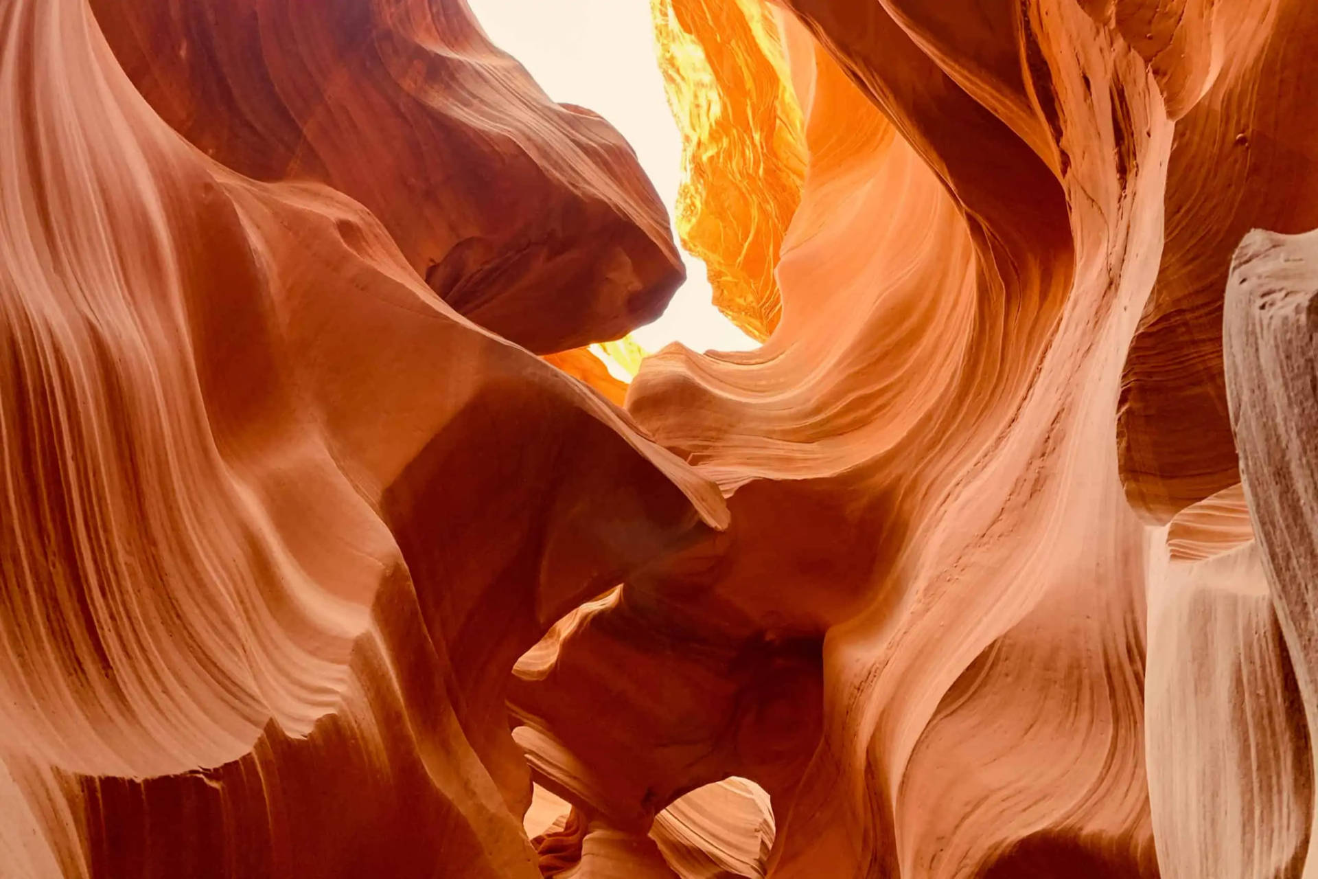 Antelope Canyon Warm Colors Background