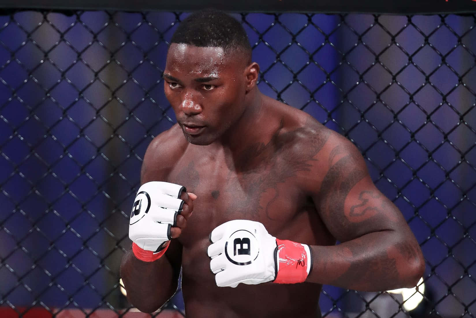 Anthony Johnson In 2021 Bellator Match Background