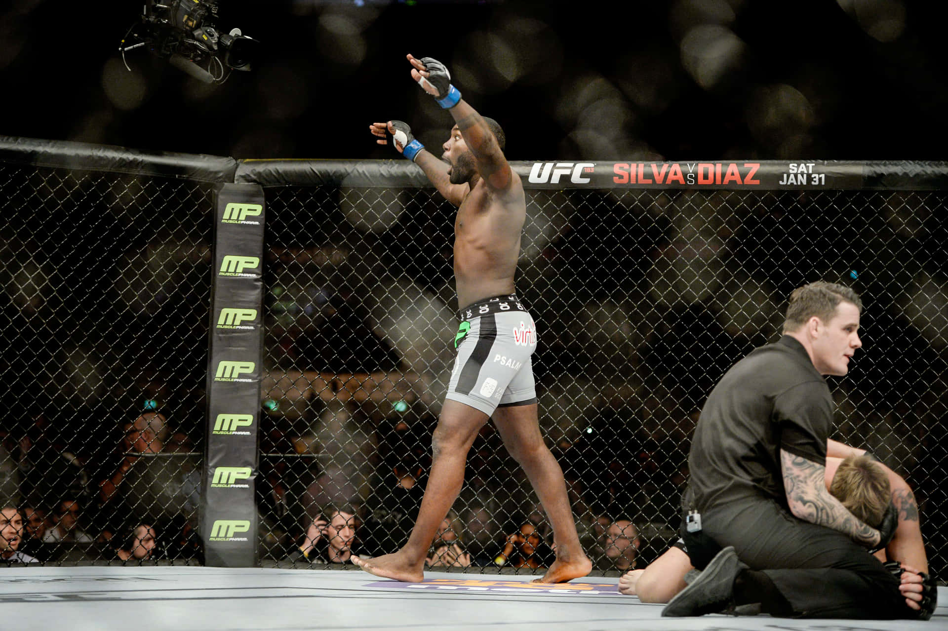 Anthony Johnson Winning Against Alexander Gustafsson 2015 Background