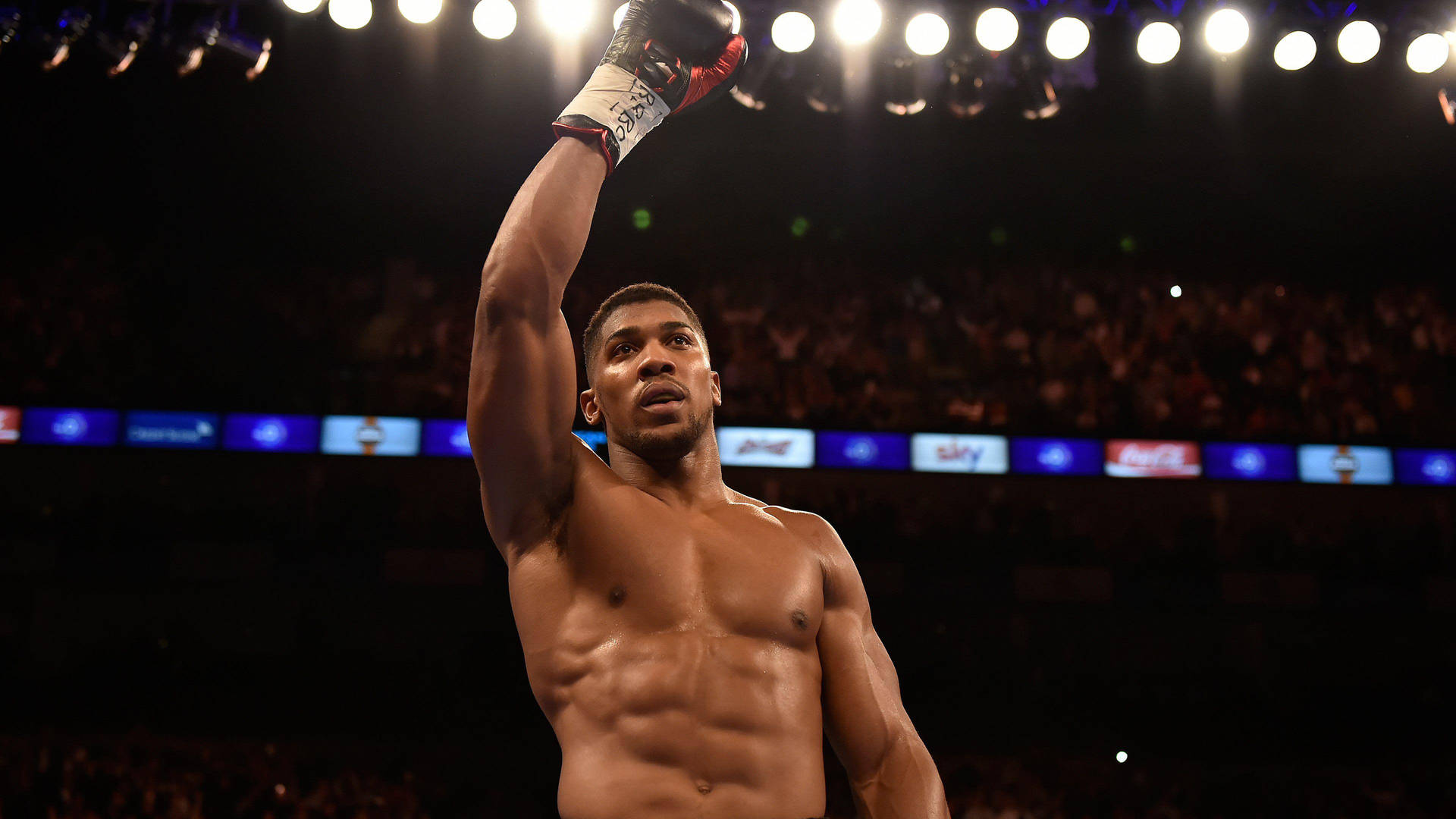 Anthony Joshua Bright Venue Lights Background