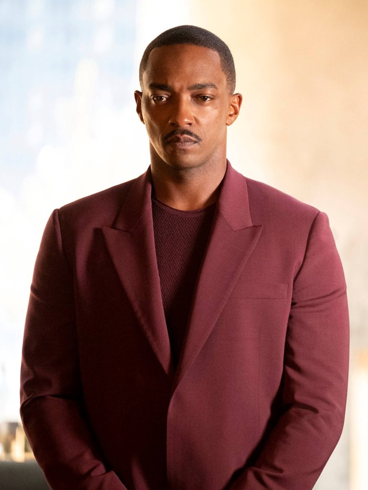Anthony Mackie In Maroon Background
