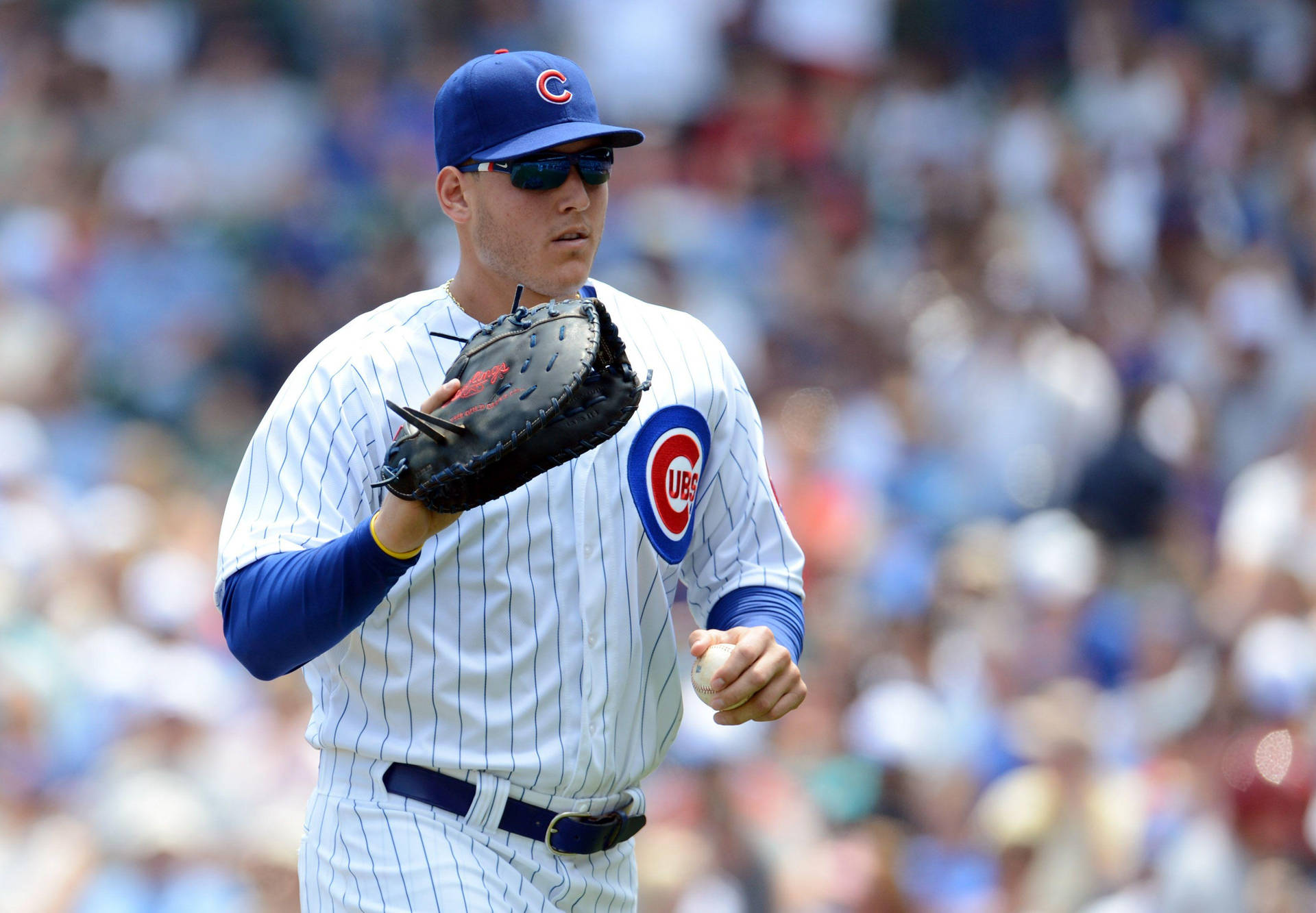 Anthony Rizzo Sunglasses Gloves