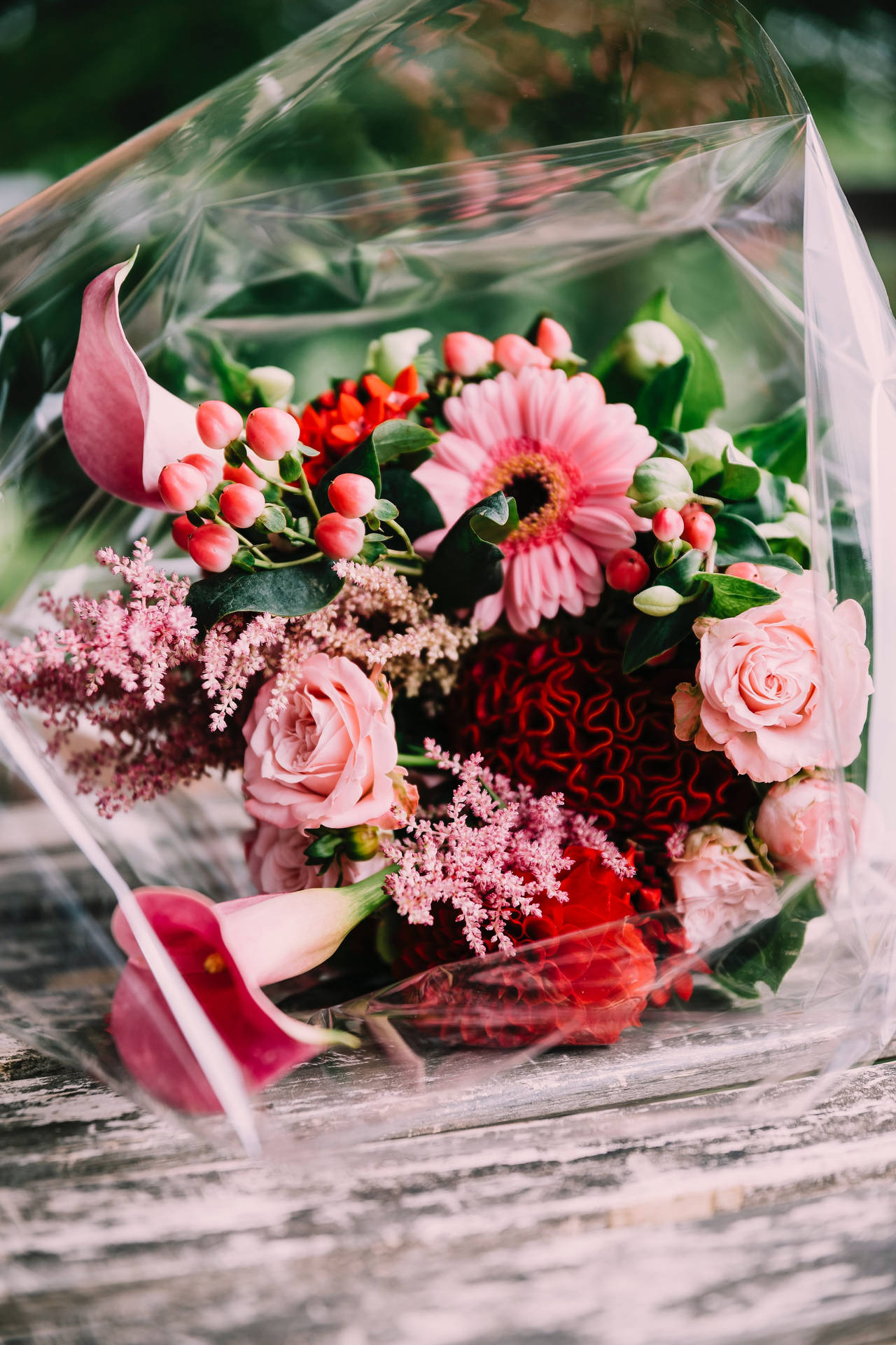 Anthuriums Daisy And Astilbe Flower Bouquet Background