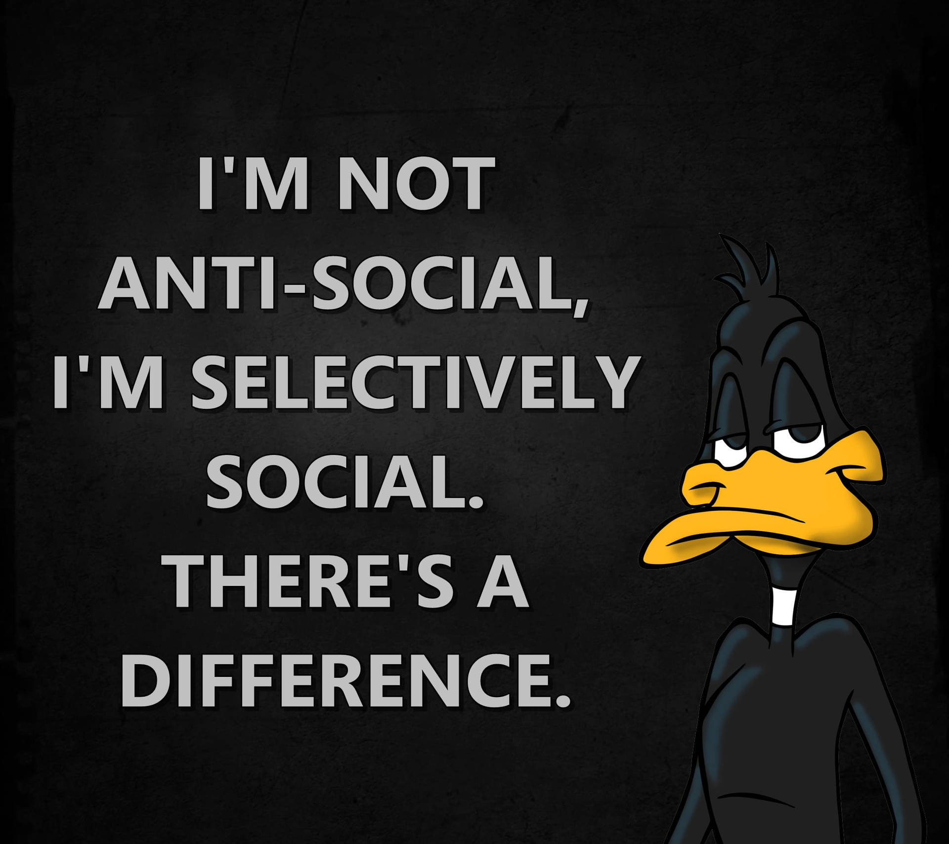 Anti Social Daffy Duck Background