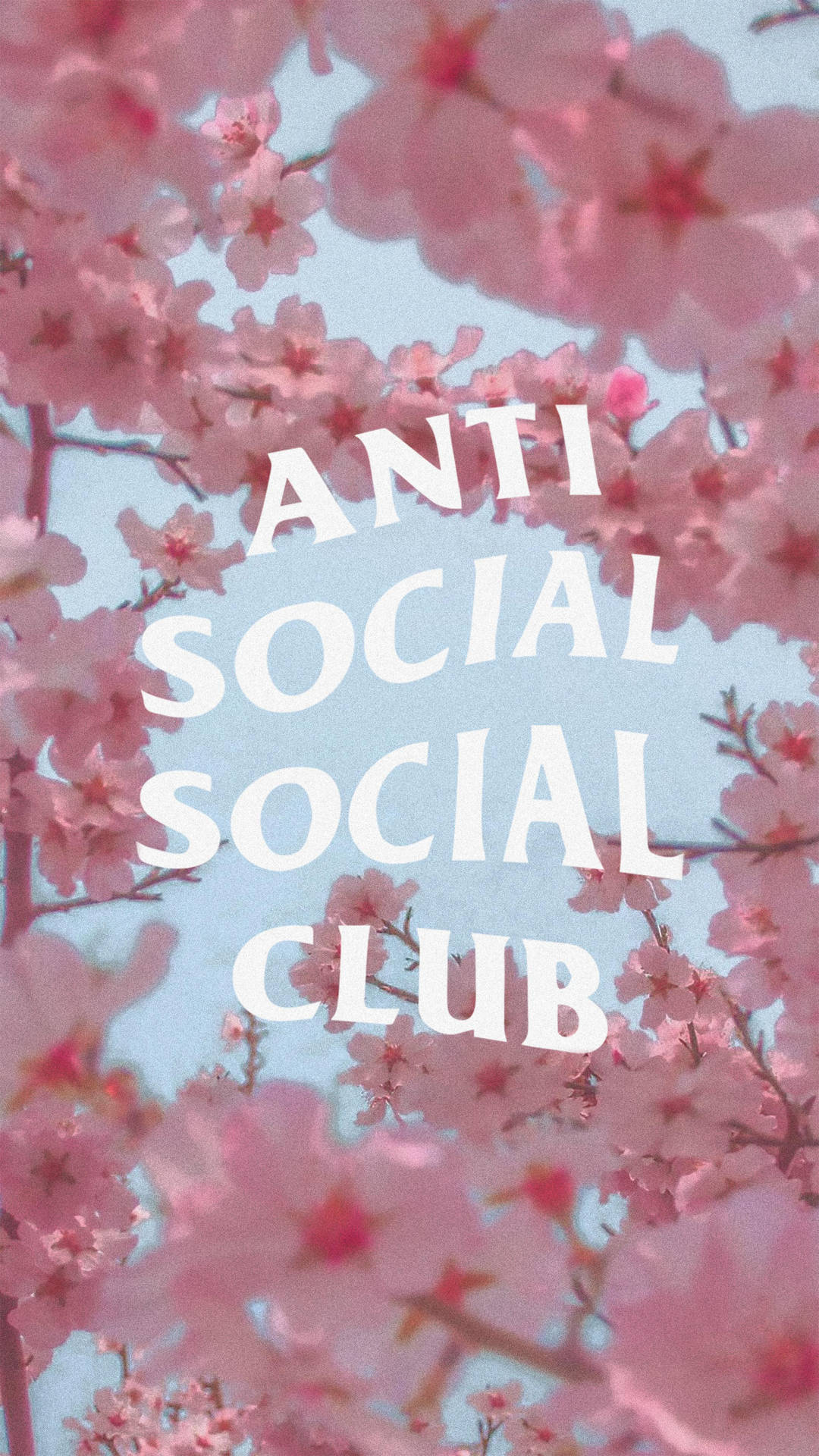 Anti Social Social Club Cherry Blossoms Background