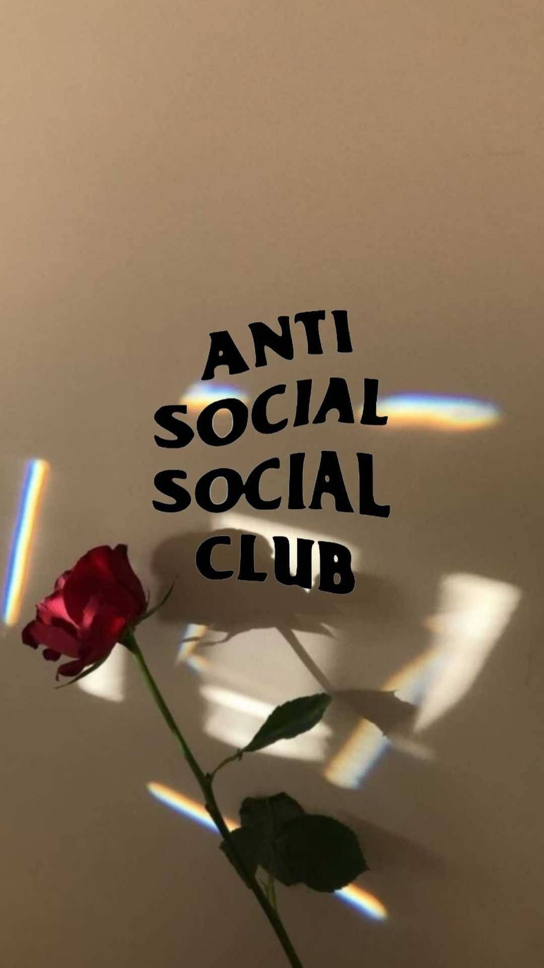 Anti Social Social Club Rose Light Background