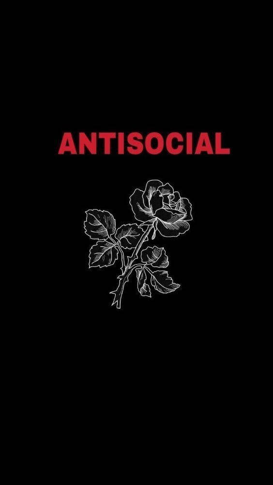 Antisocial - A Rose With The Words'antisocial' Background