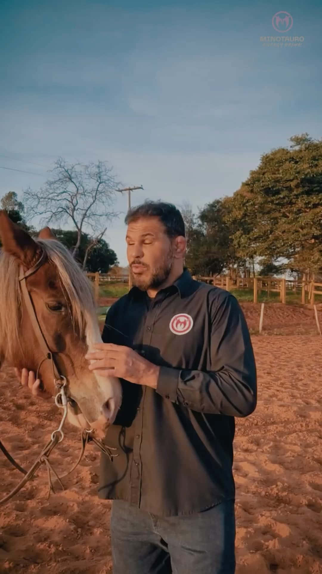 Antônio Rodrigo Nogueira Calming Horse Background
