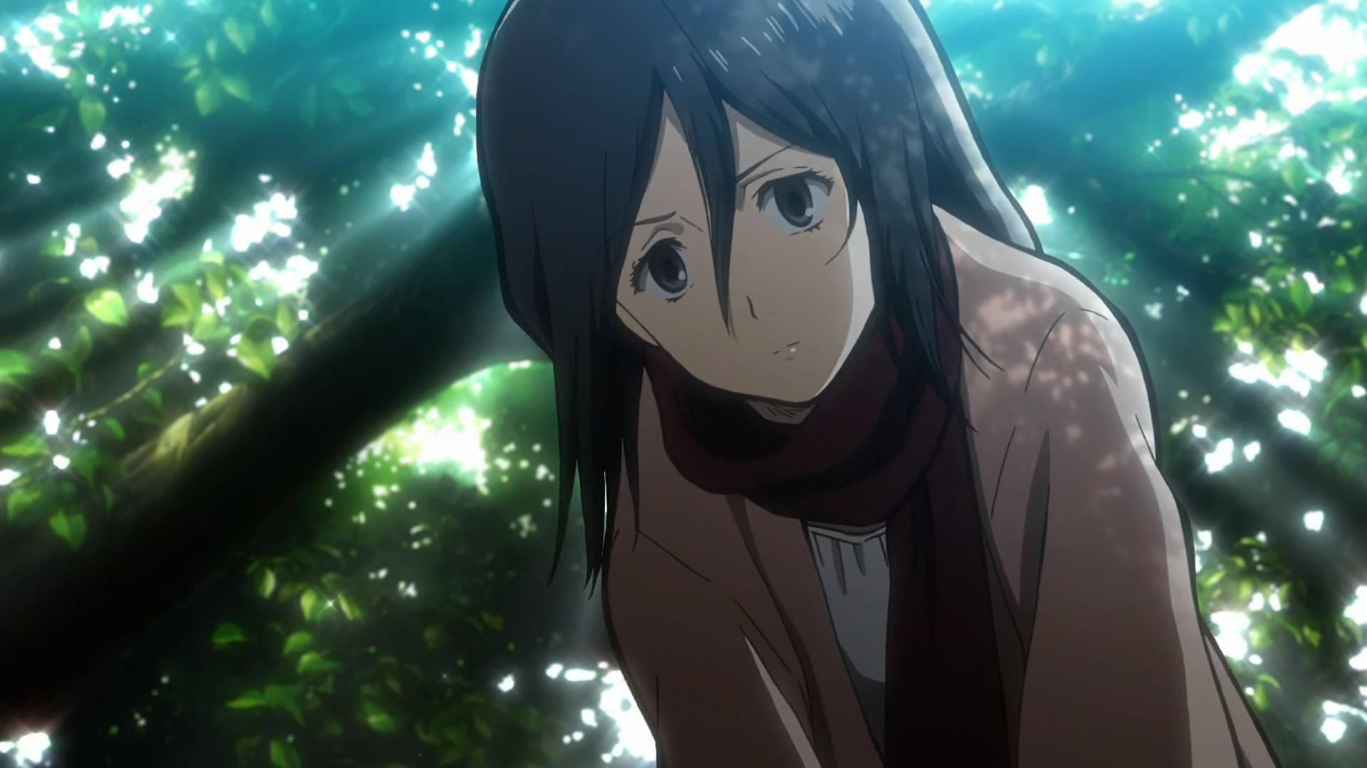 Aot Mikasa Cute Forest Background