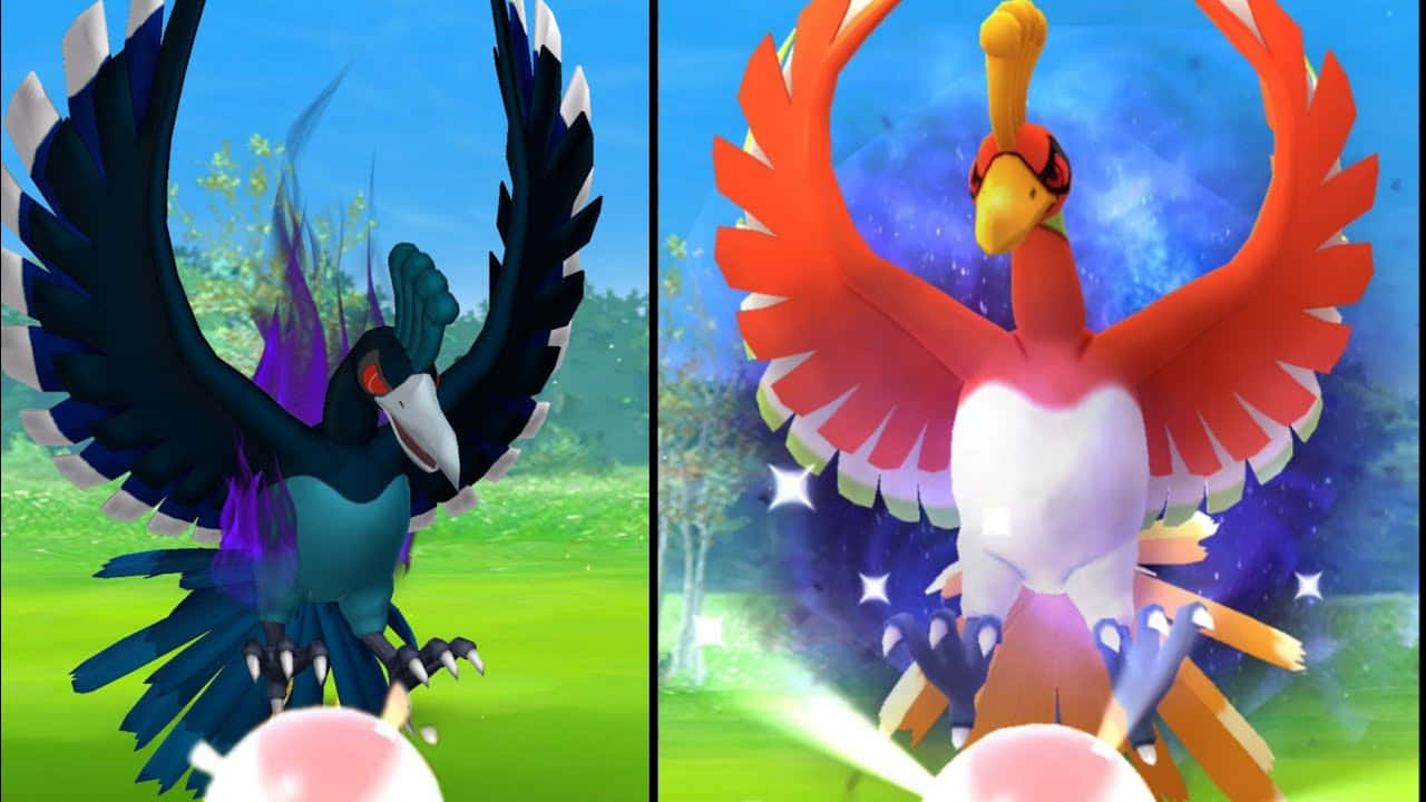 Apex Shadow Ho-oh Next To Ho-oh Background